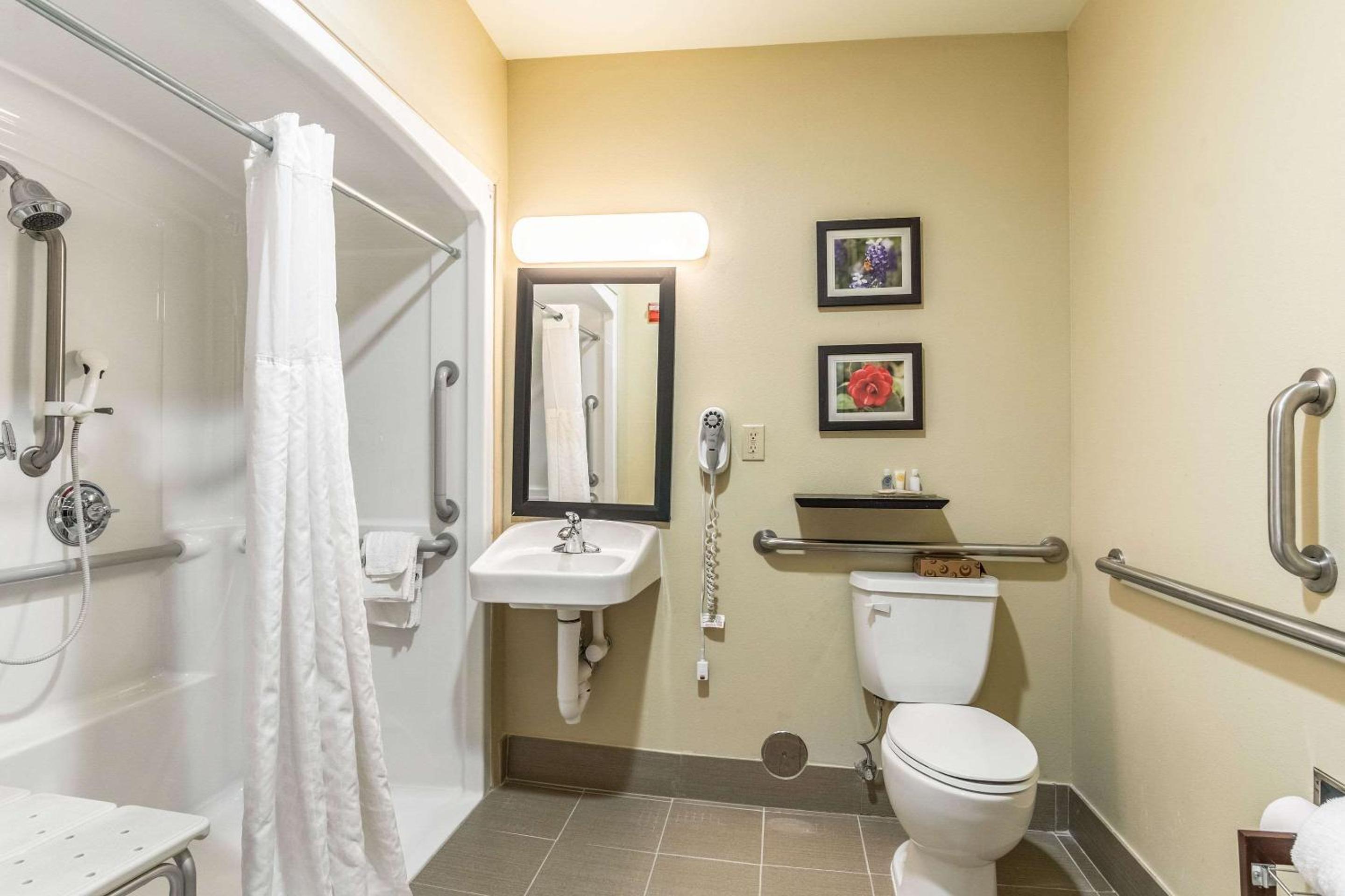 Comfort Inn & Suites Tuscumbia-Muscle Shoals view 3