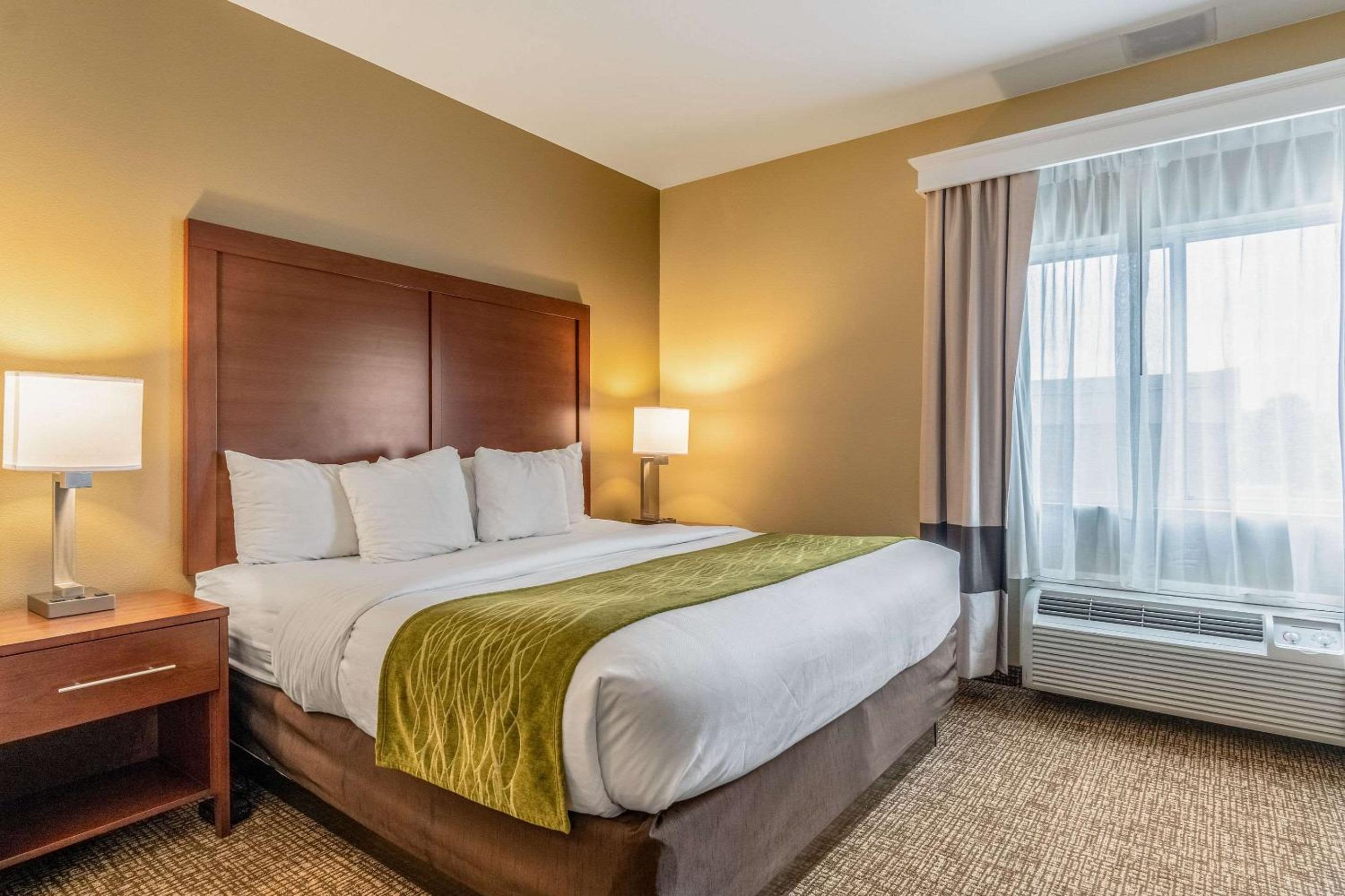 Comfort Inn & Suites Tuscumbia-Muscle Shoals view 5