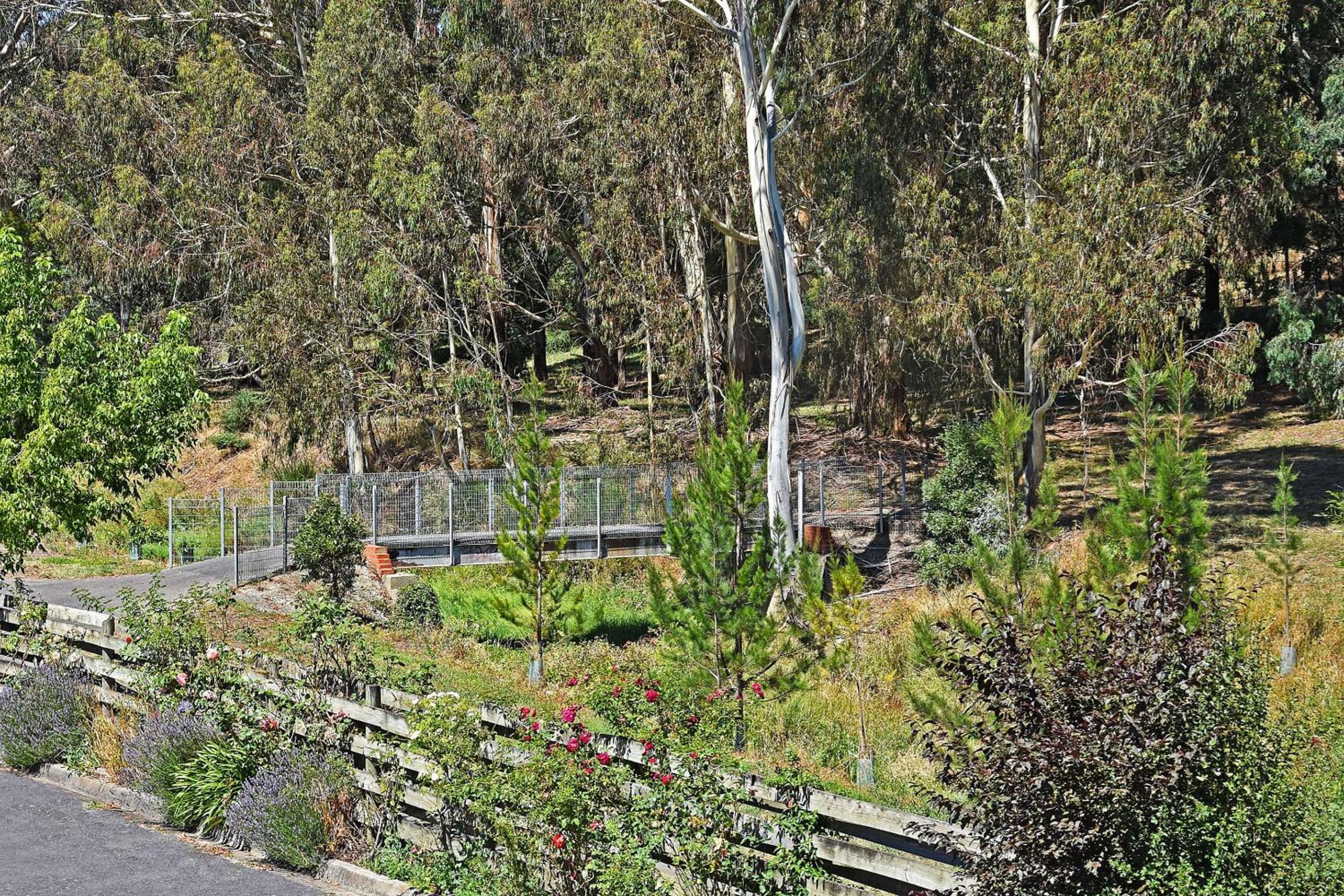 Main Lead Ballarat Motel view 4