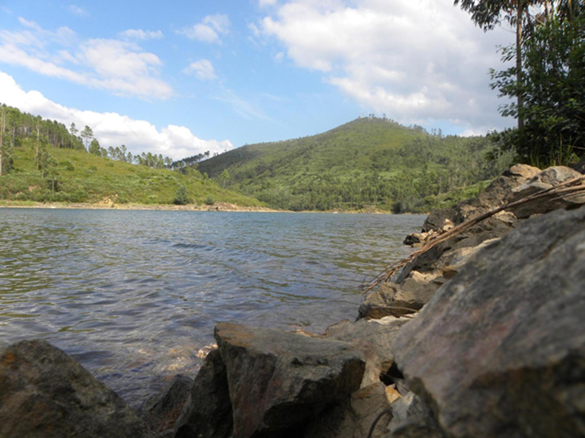 Photo 47