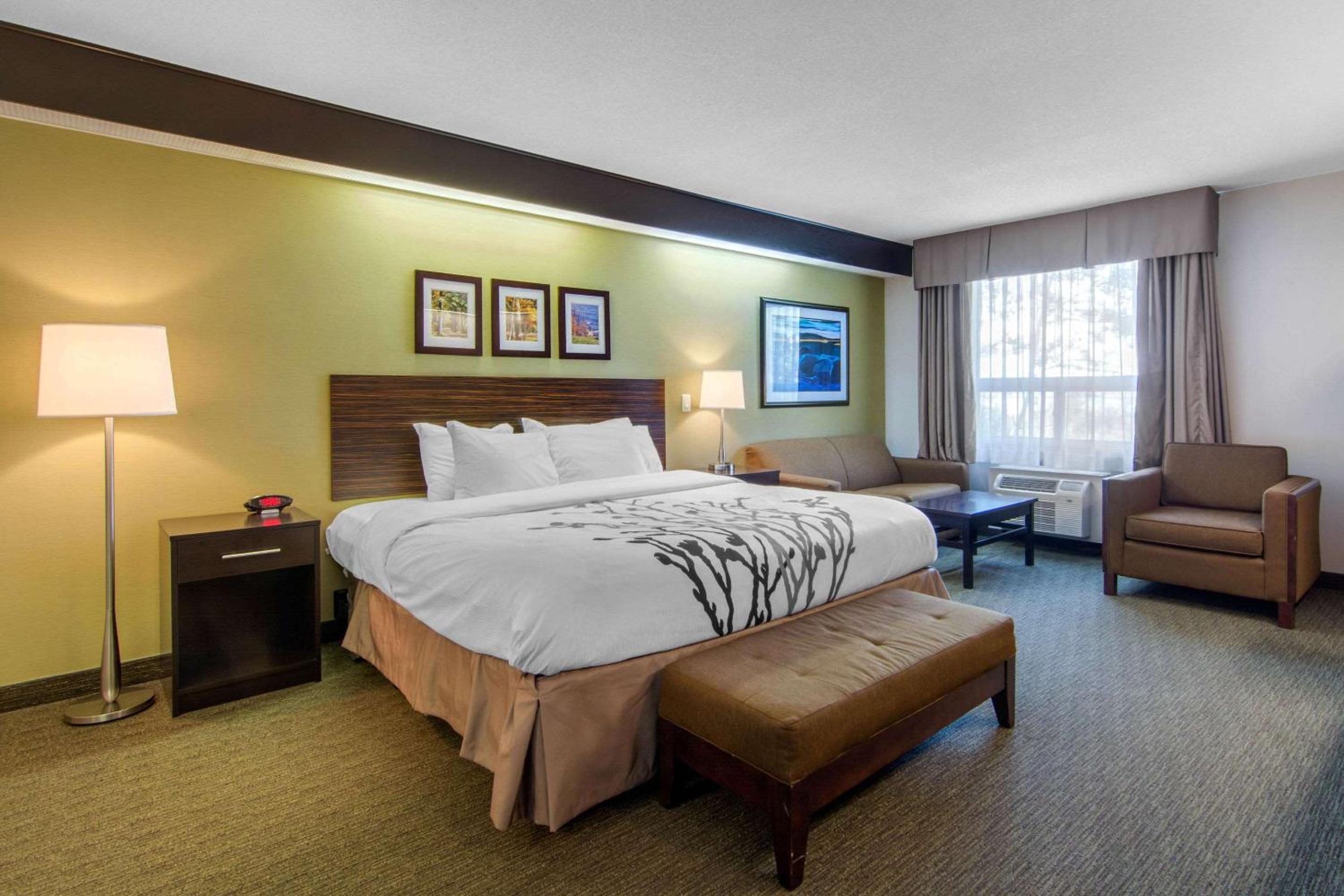 Sleep Inn, photo 30