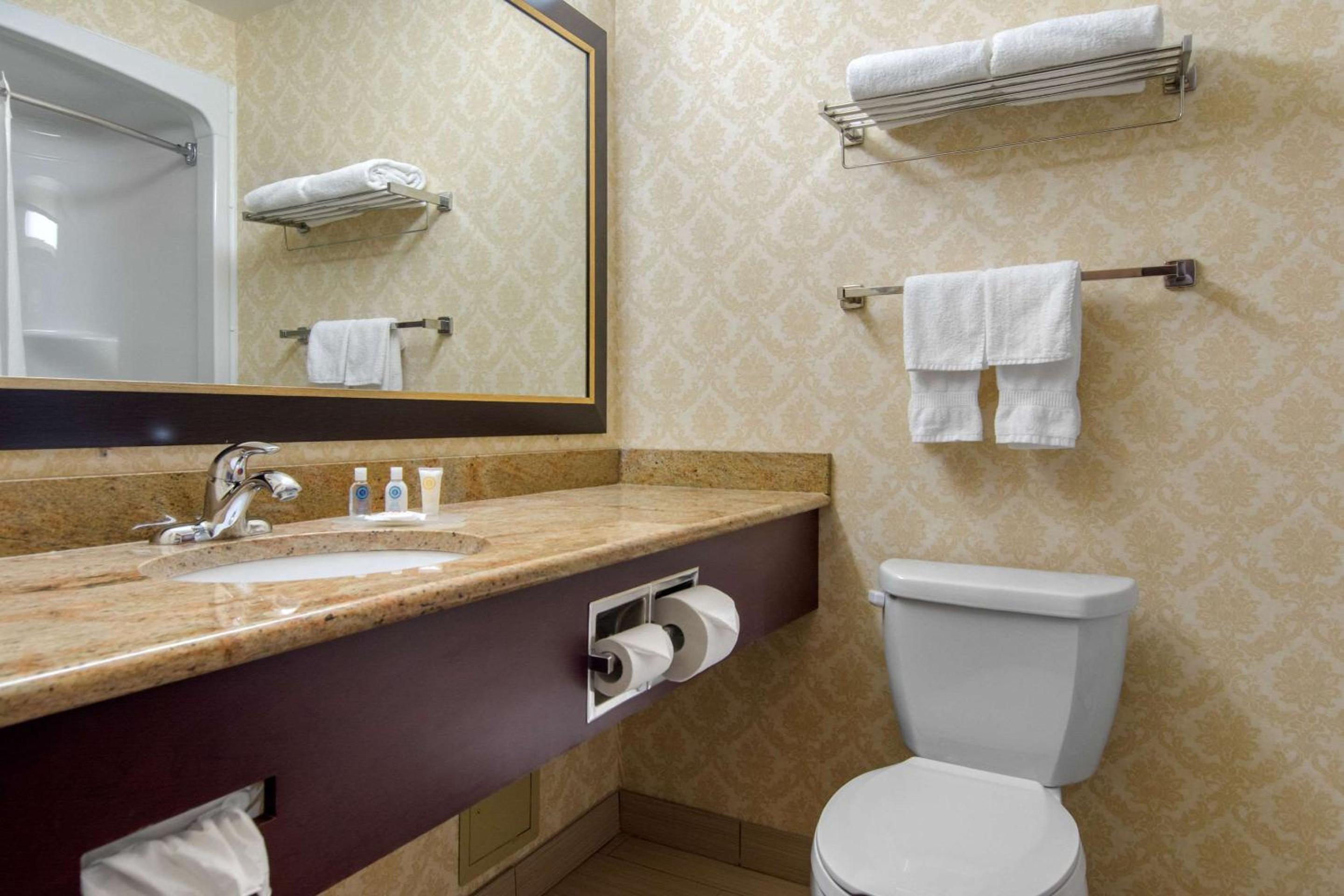 Levis Vacations - Comfort Inn  Suites - Property Image 73
