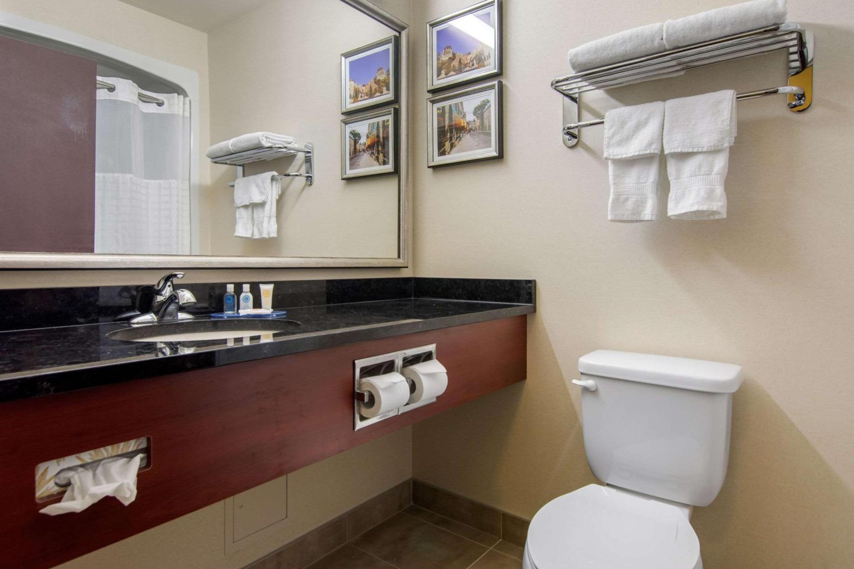 Levis Vacations - Comfort Inn  Suites - Property Image 80