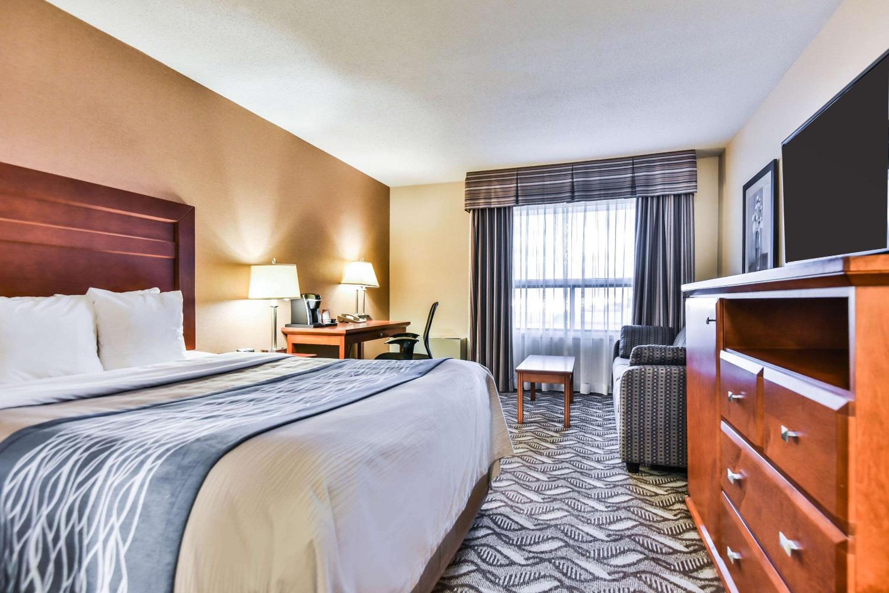 Windsor Vacations - Comfort Inn  Suites Ambassador Bridge - Property Image 7