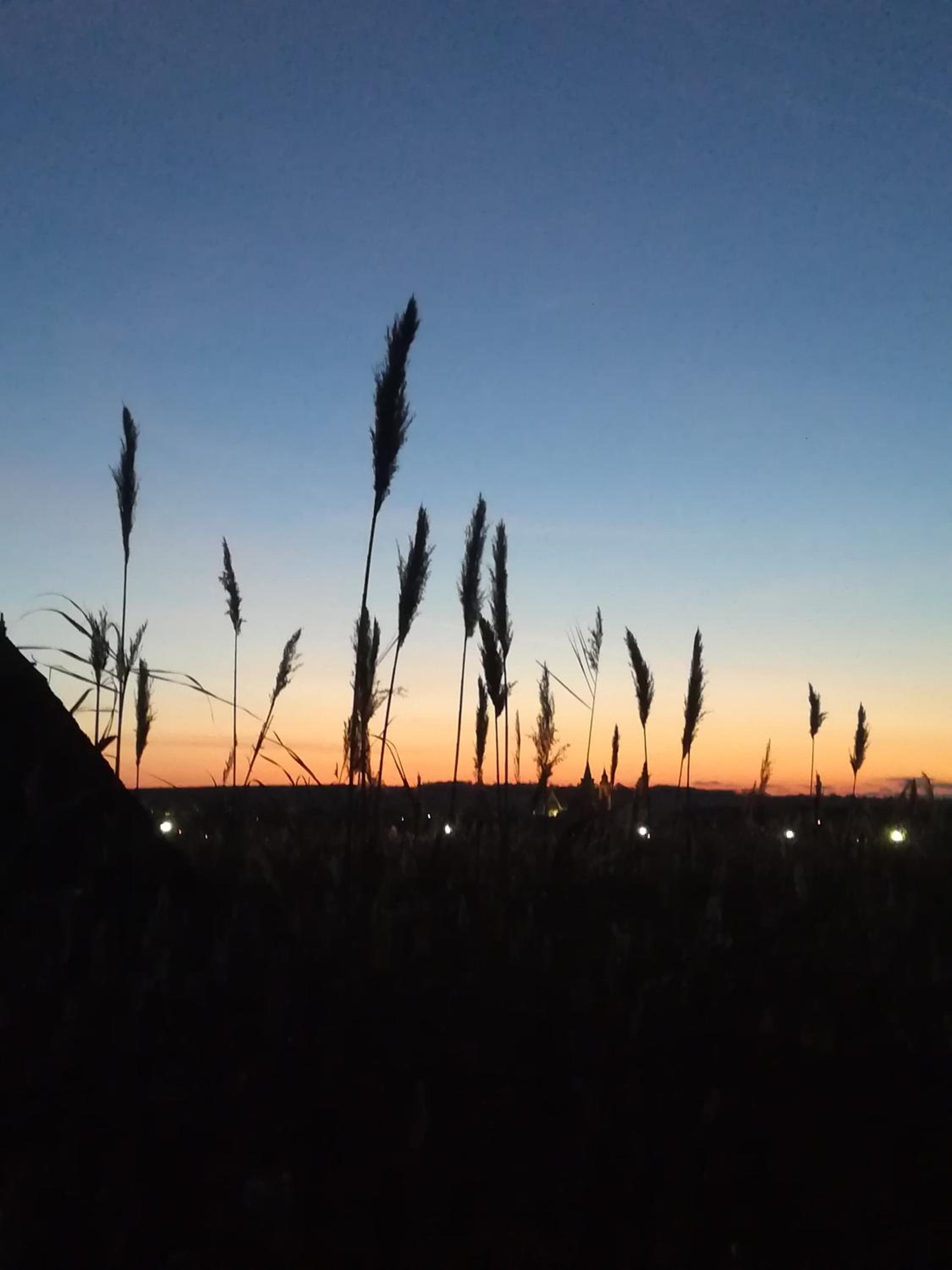 Pfahlbau Sunset I Toplage Elektroboot inklusive