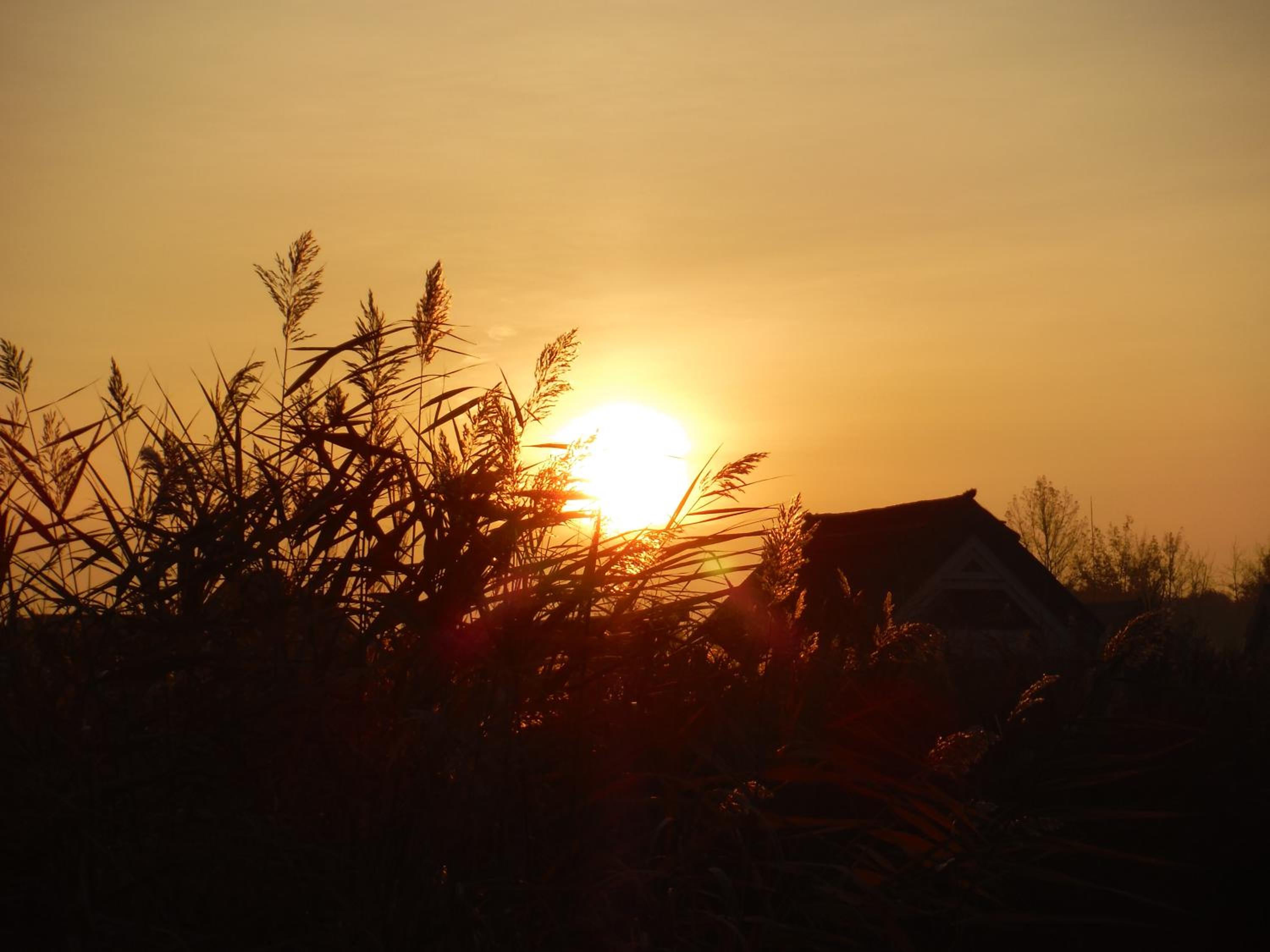 Pfahlbau Sunset I Toplage Elektroboot inklusive