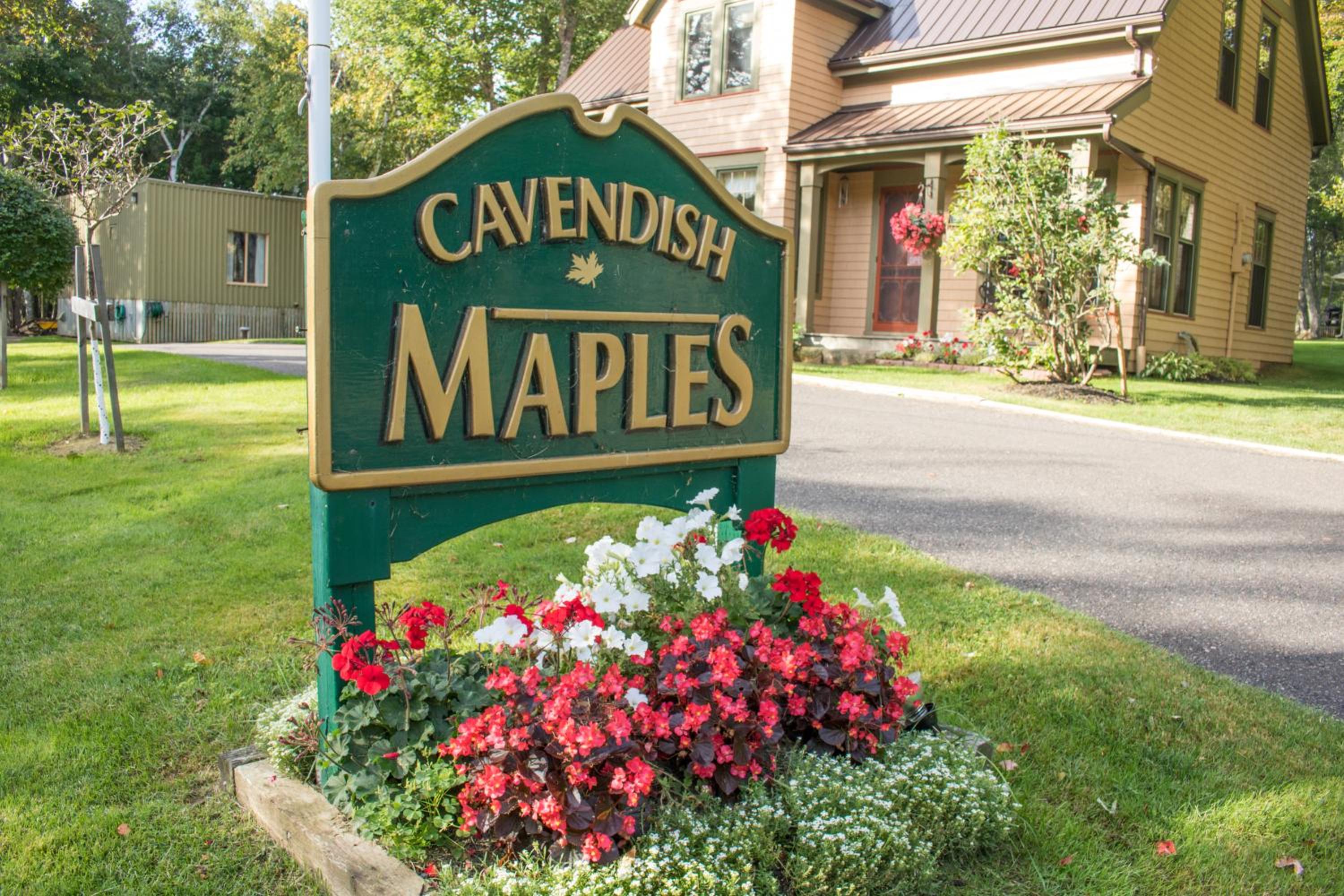 Cavendish Maples Cottages