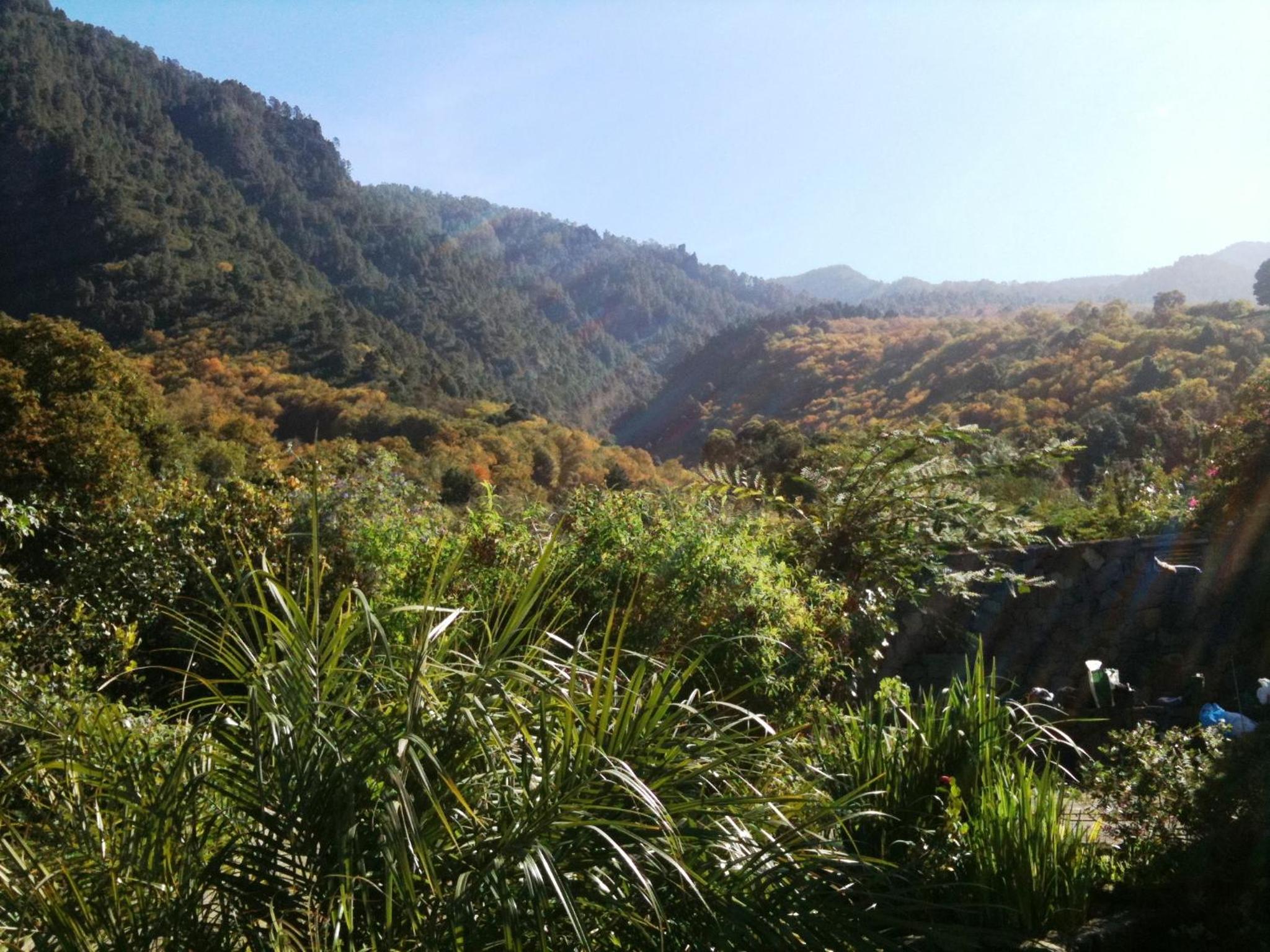 Finca La Hondura view 5
