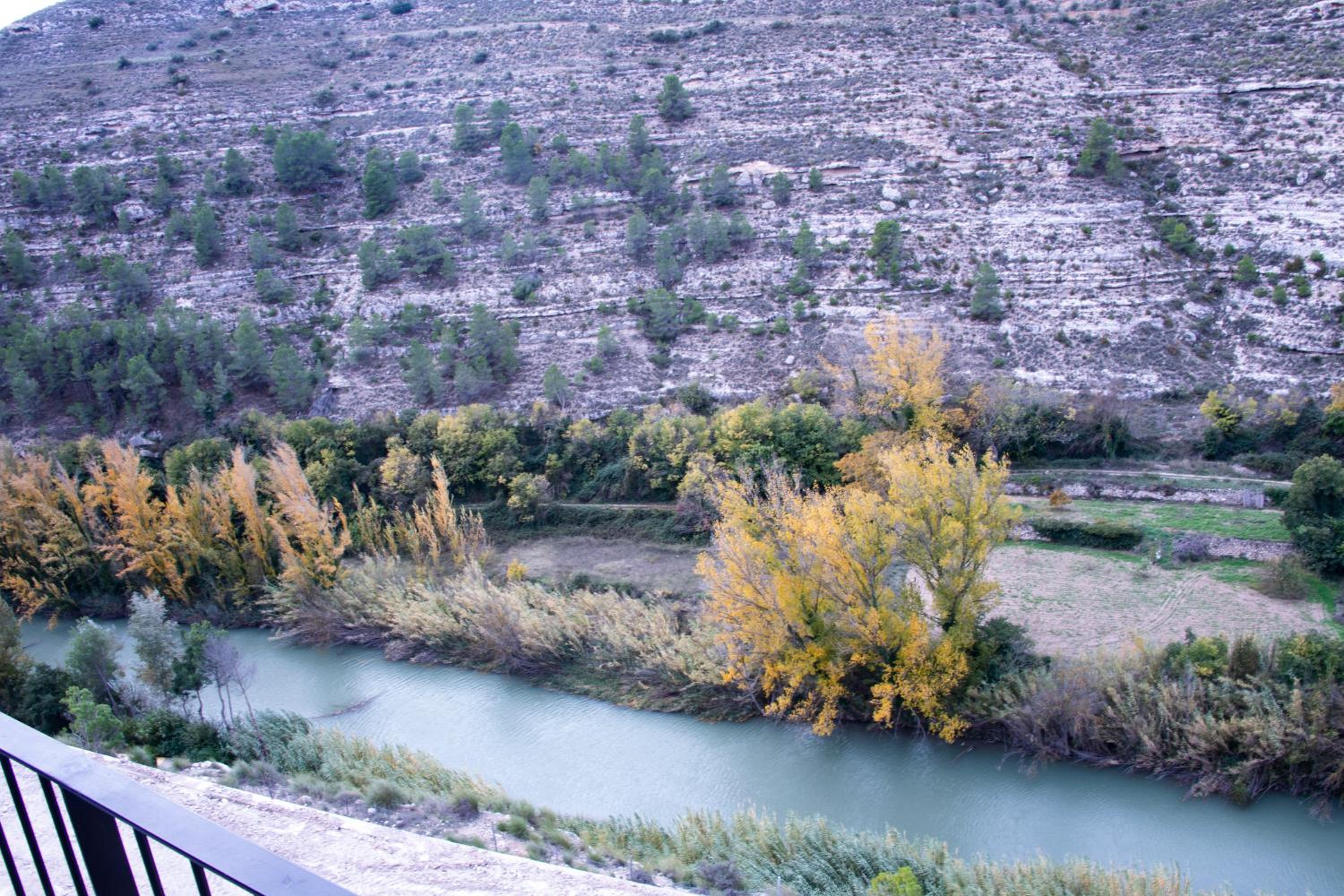 Photo 20
