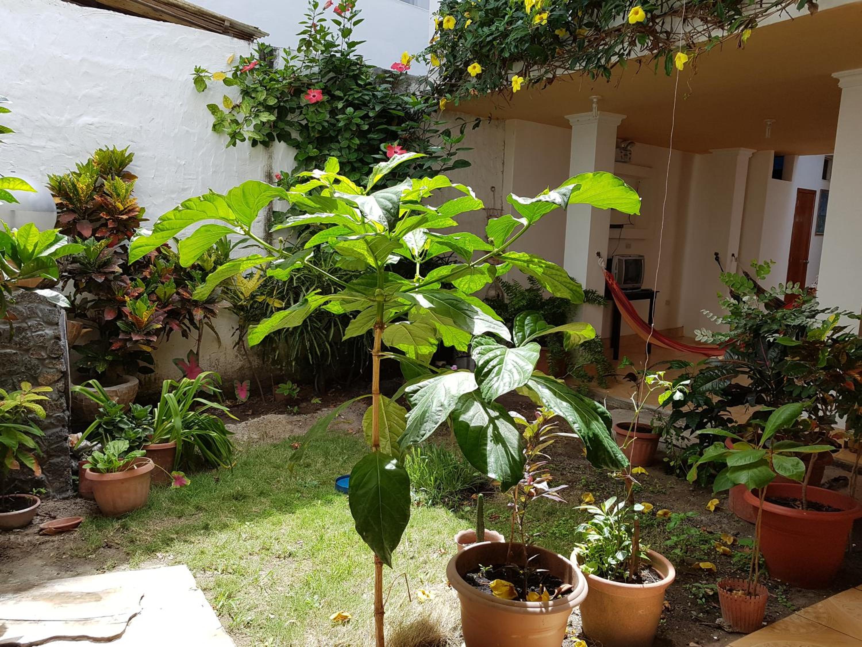 Photo 19