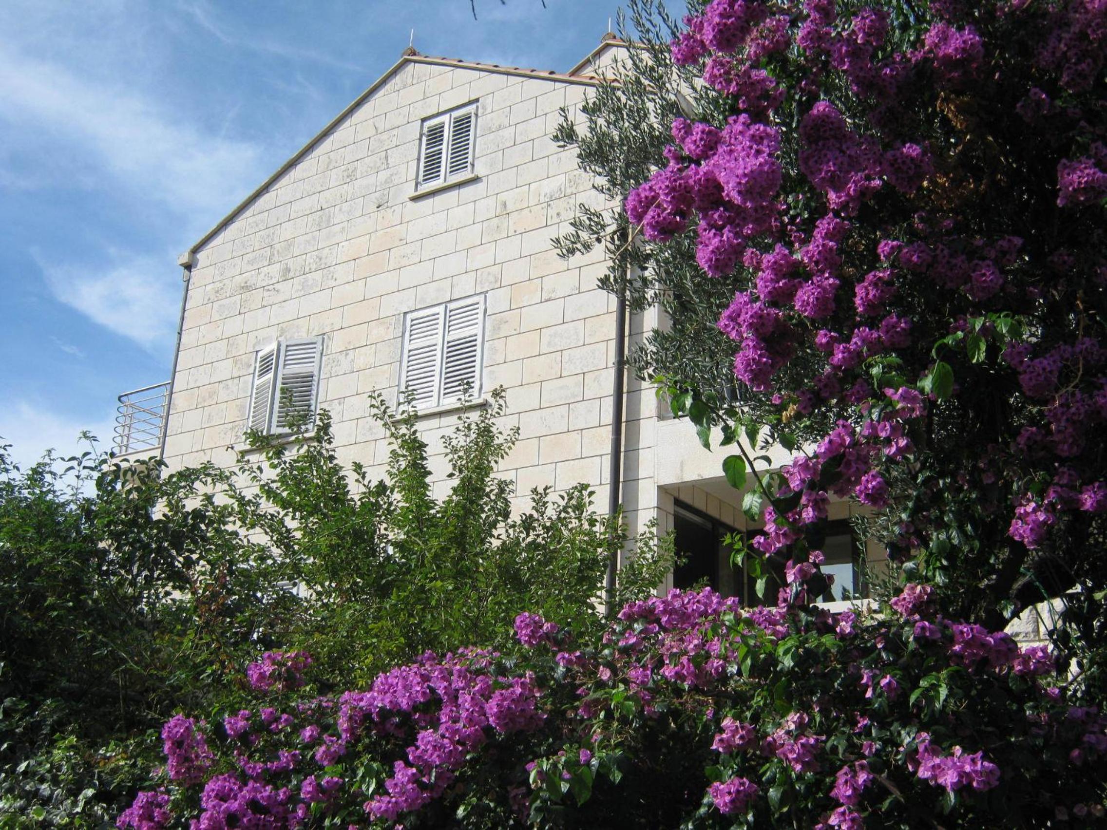 Apartments and Rooms Artemida