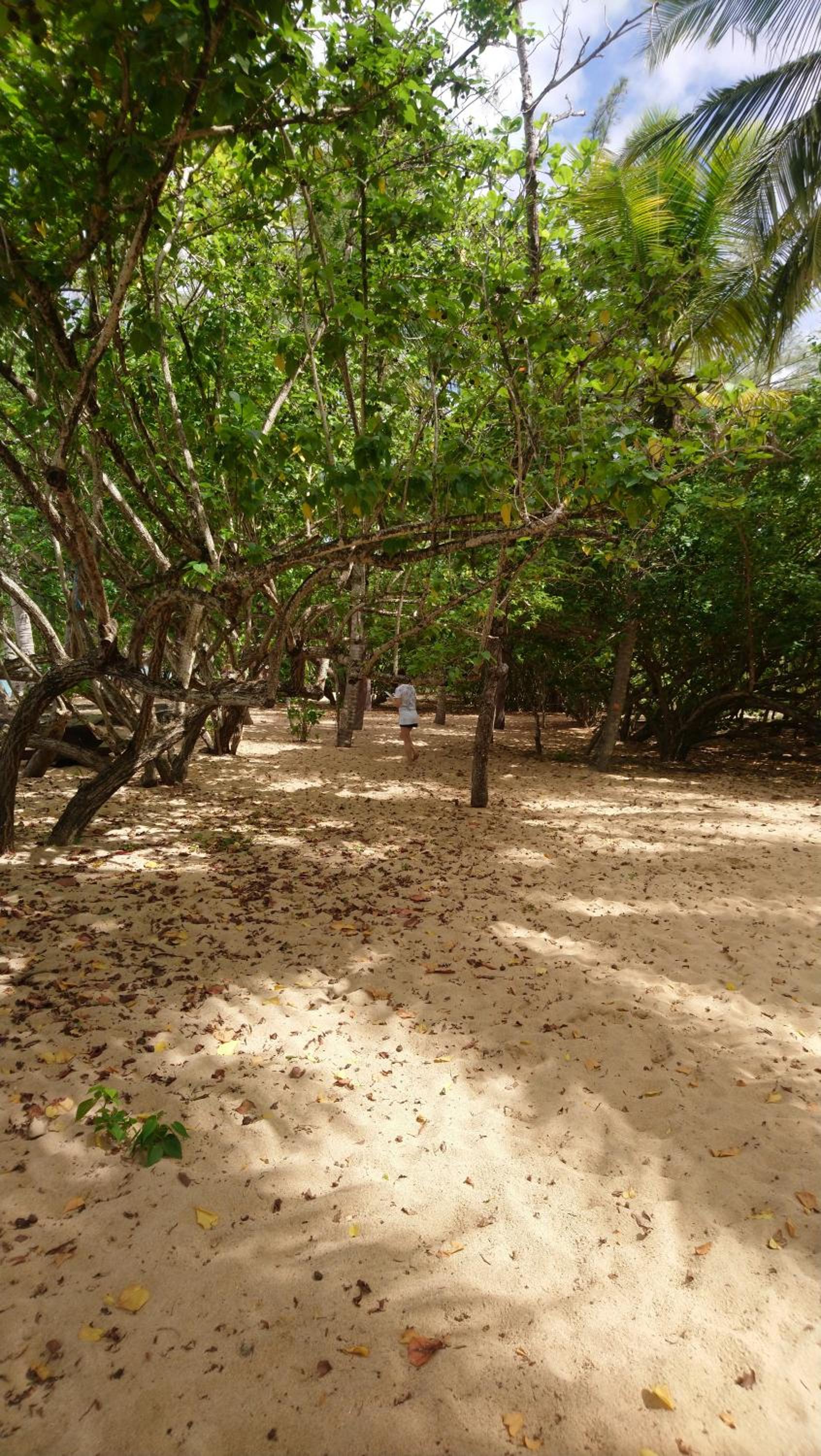 STUDIO de la PLAGE view 3