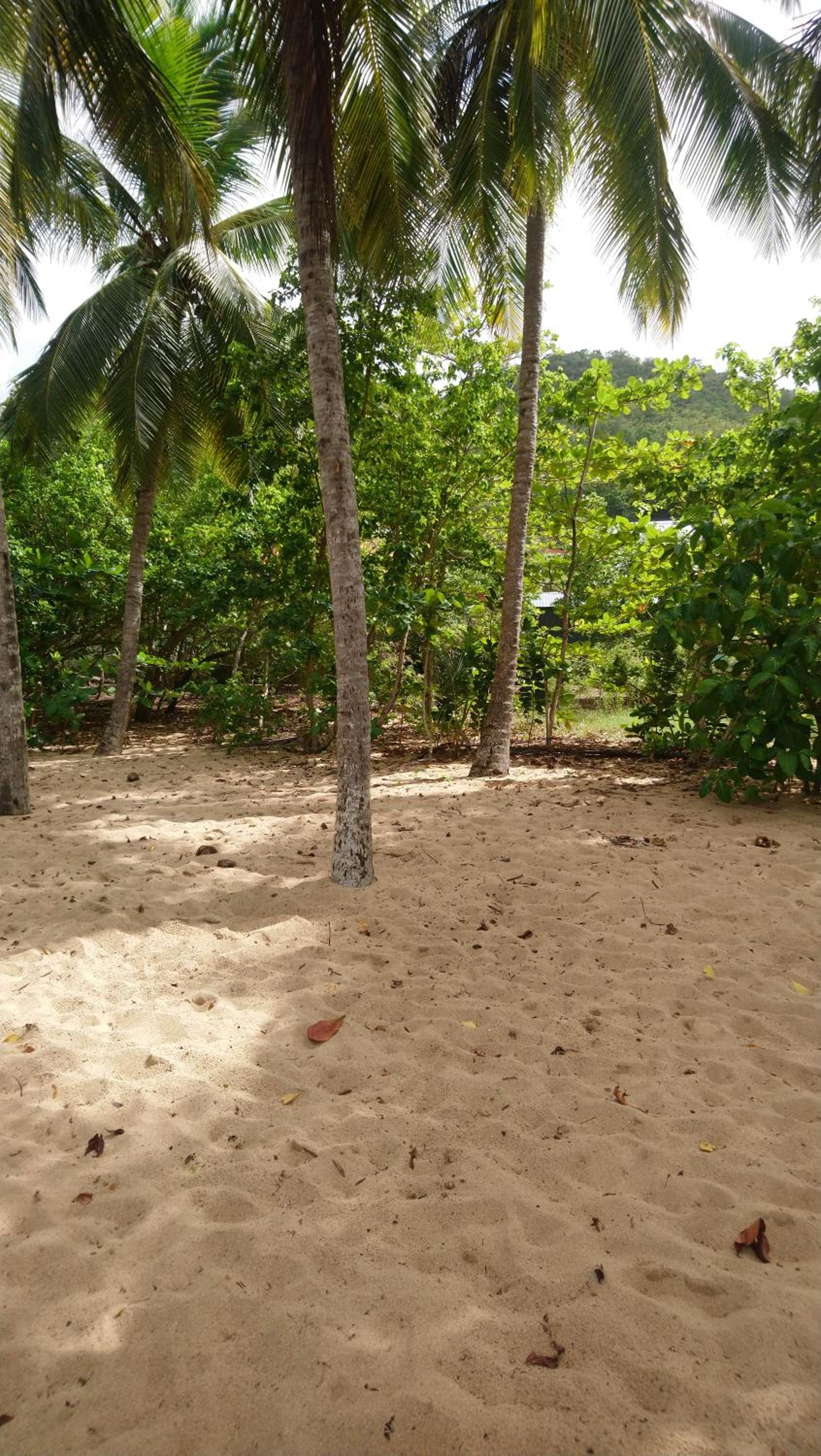 STUDIO de la PLAGE view 2