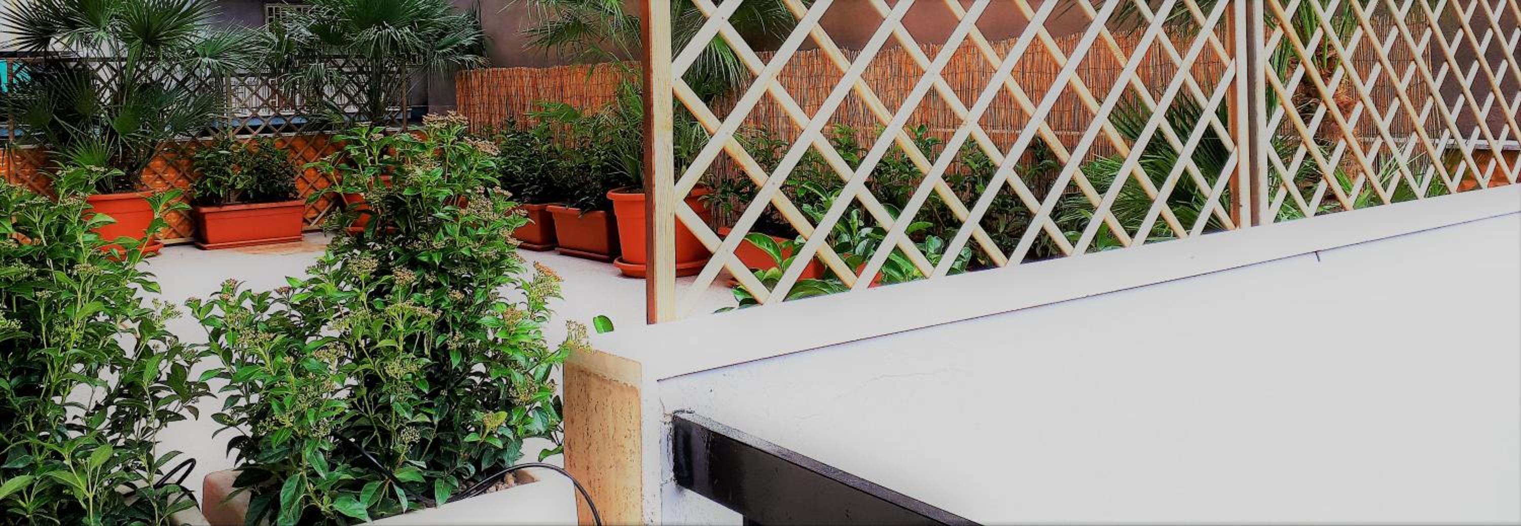 PHALANTHOS TARANTO photo 5