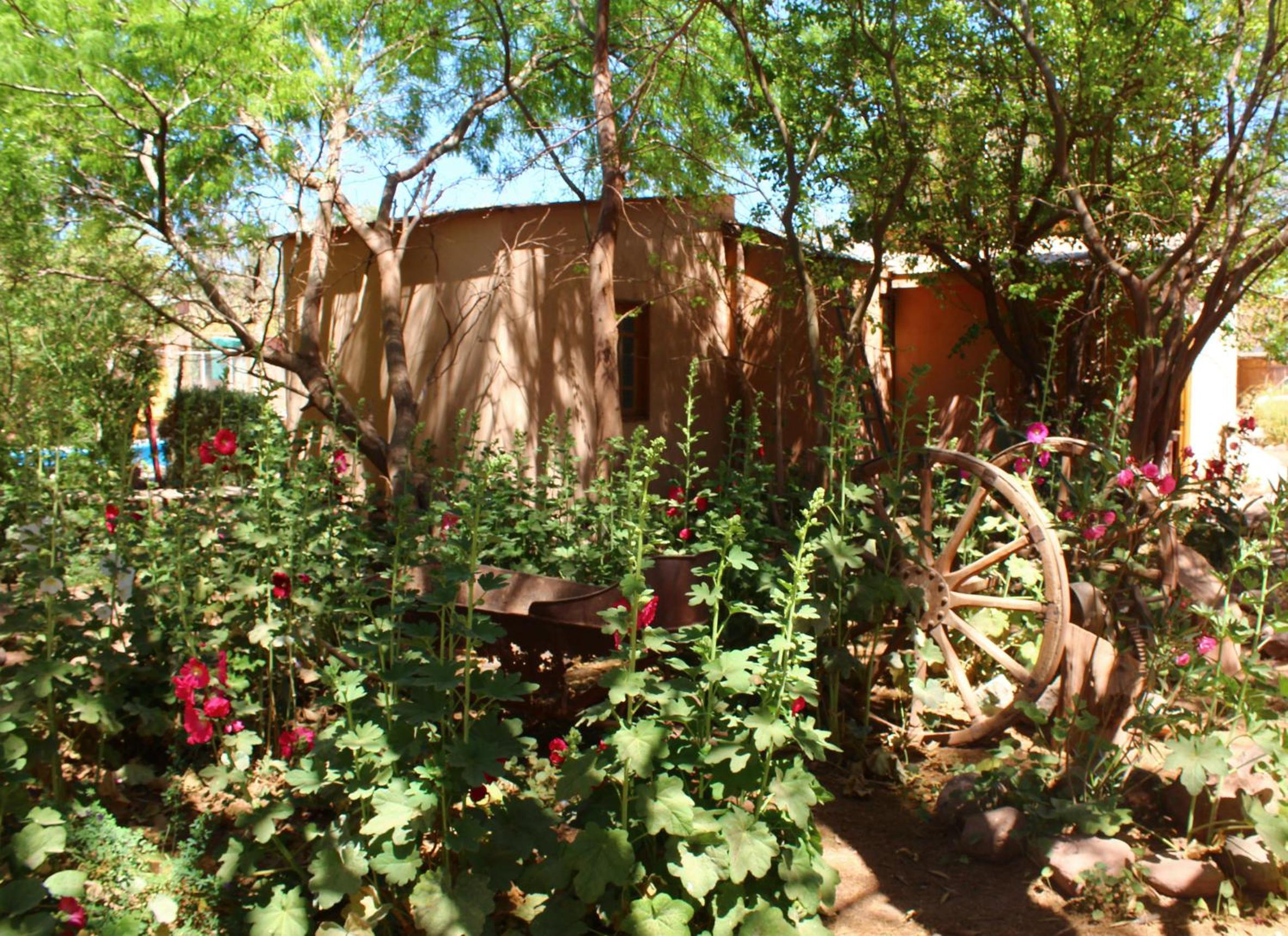 Hotel-Camping Takha Takha