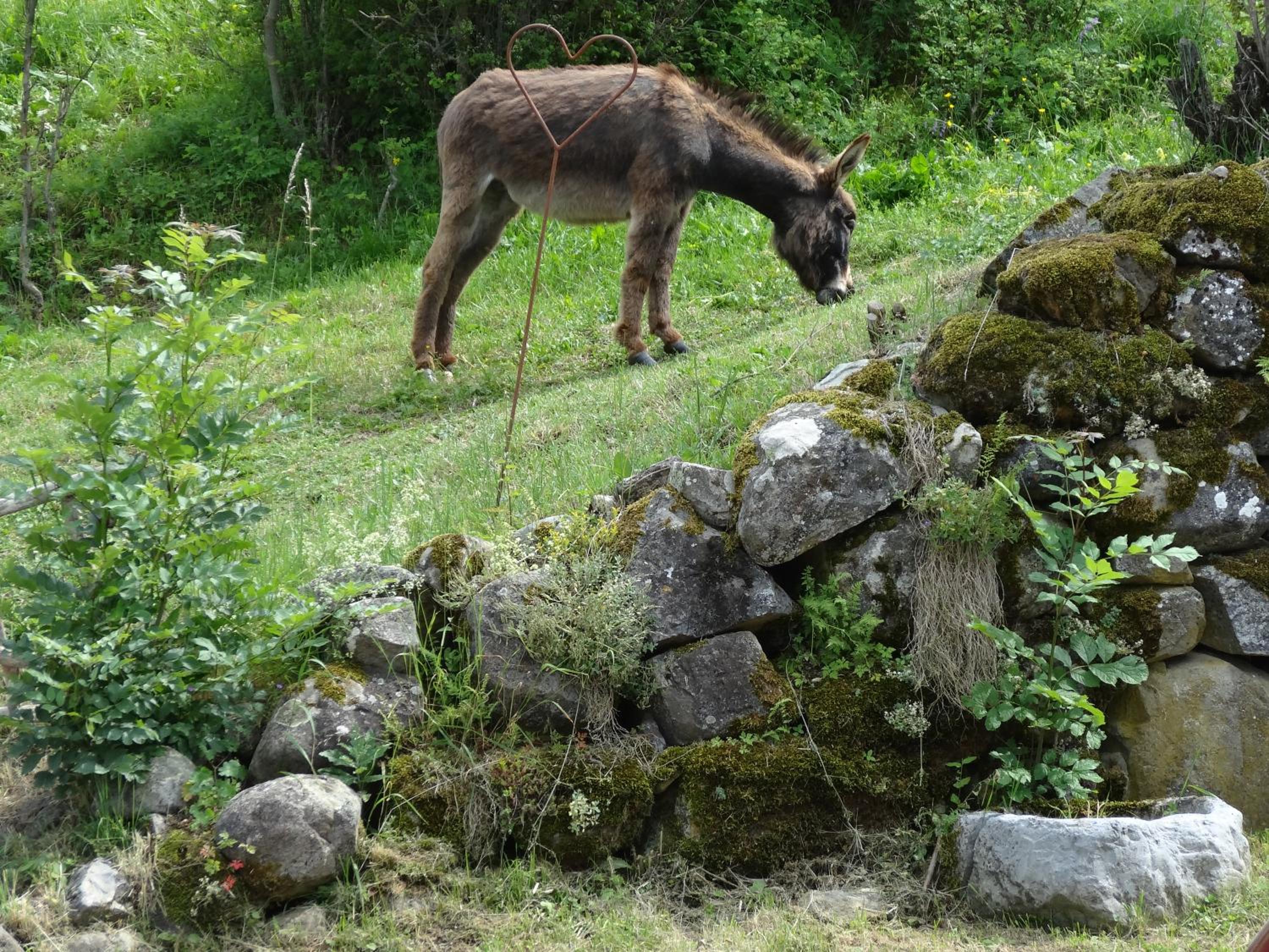 Photo 25