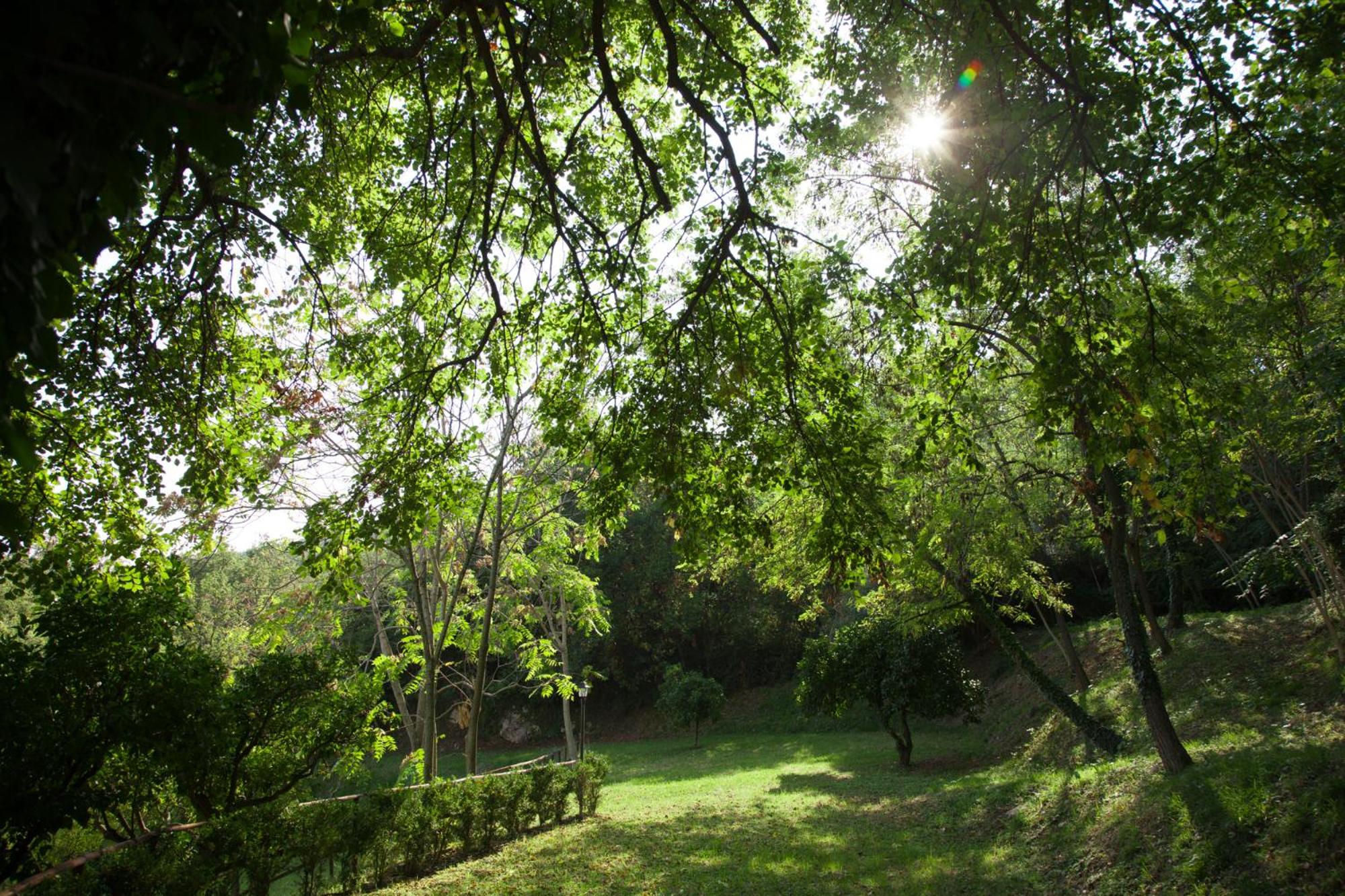 Agriturismo La Vecchia Quercia
