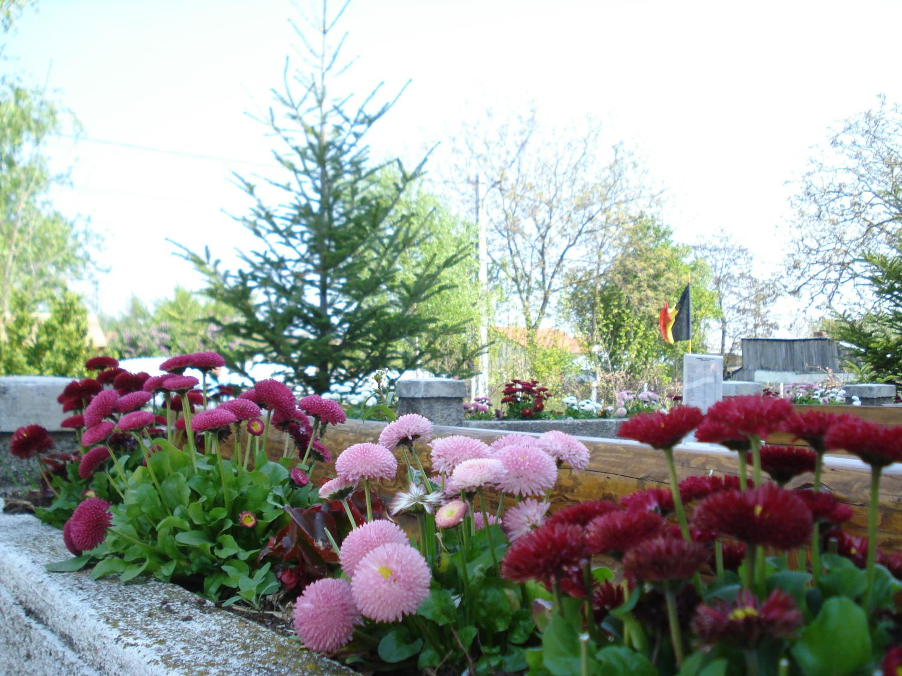 Photo 27