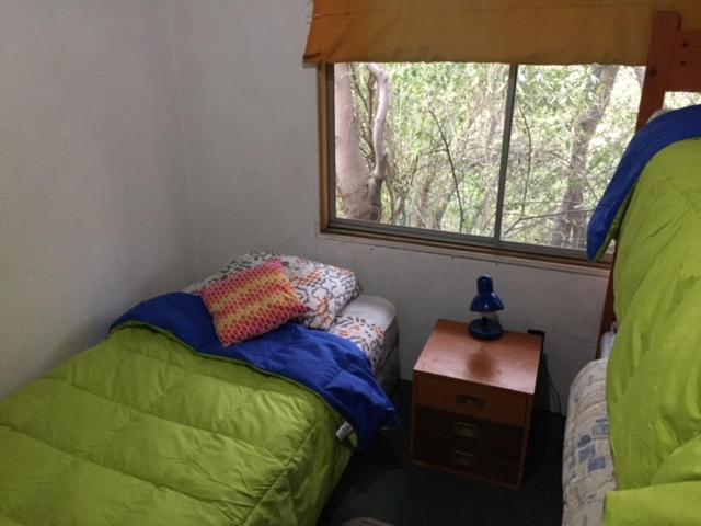 Photo 43