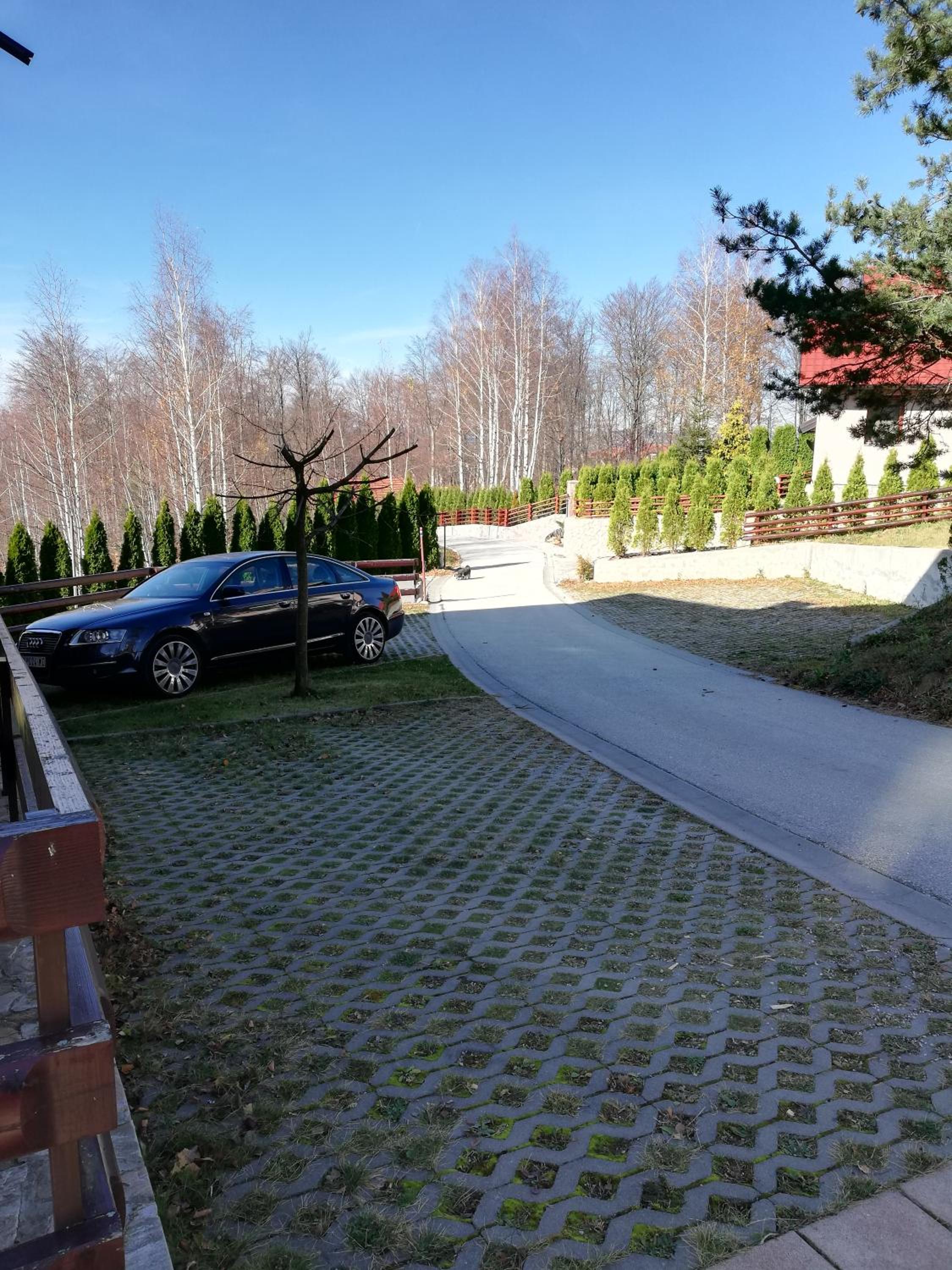 Photo 17