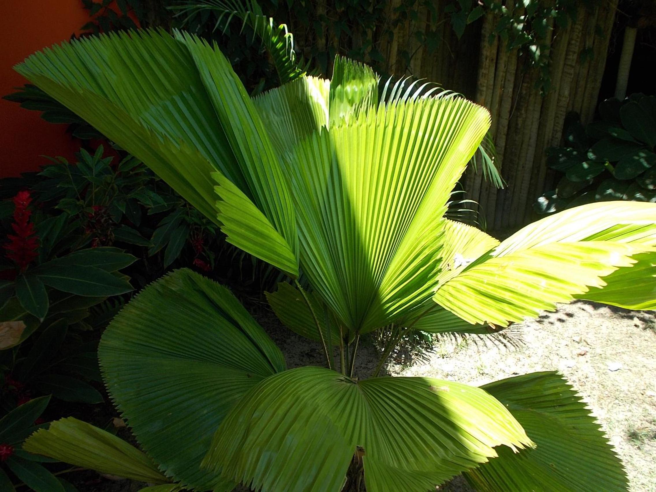 Photo 26