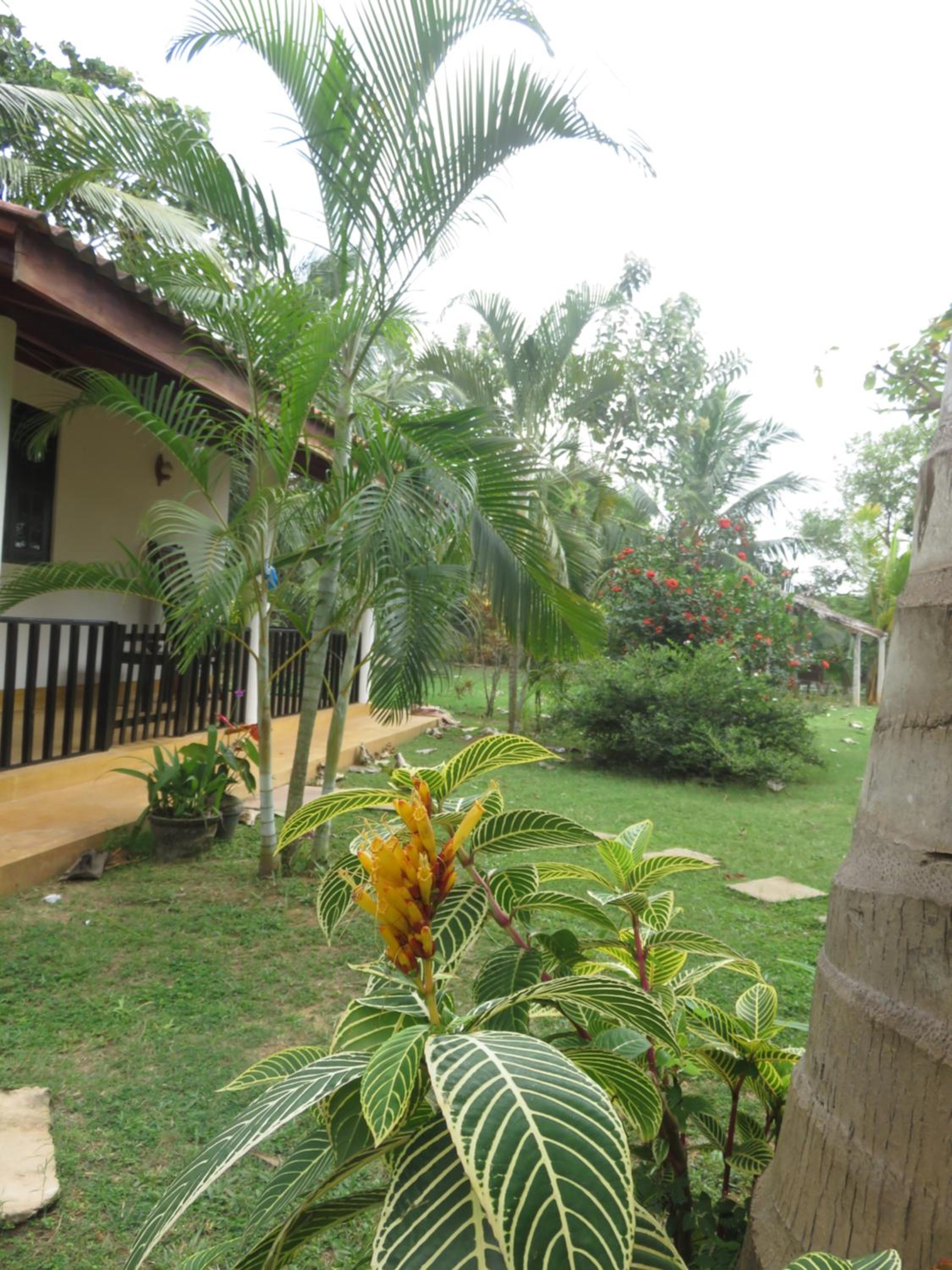 Beach Lagoon Guesthouse