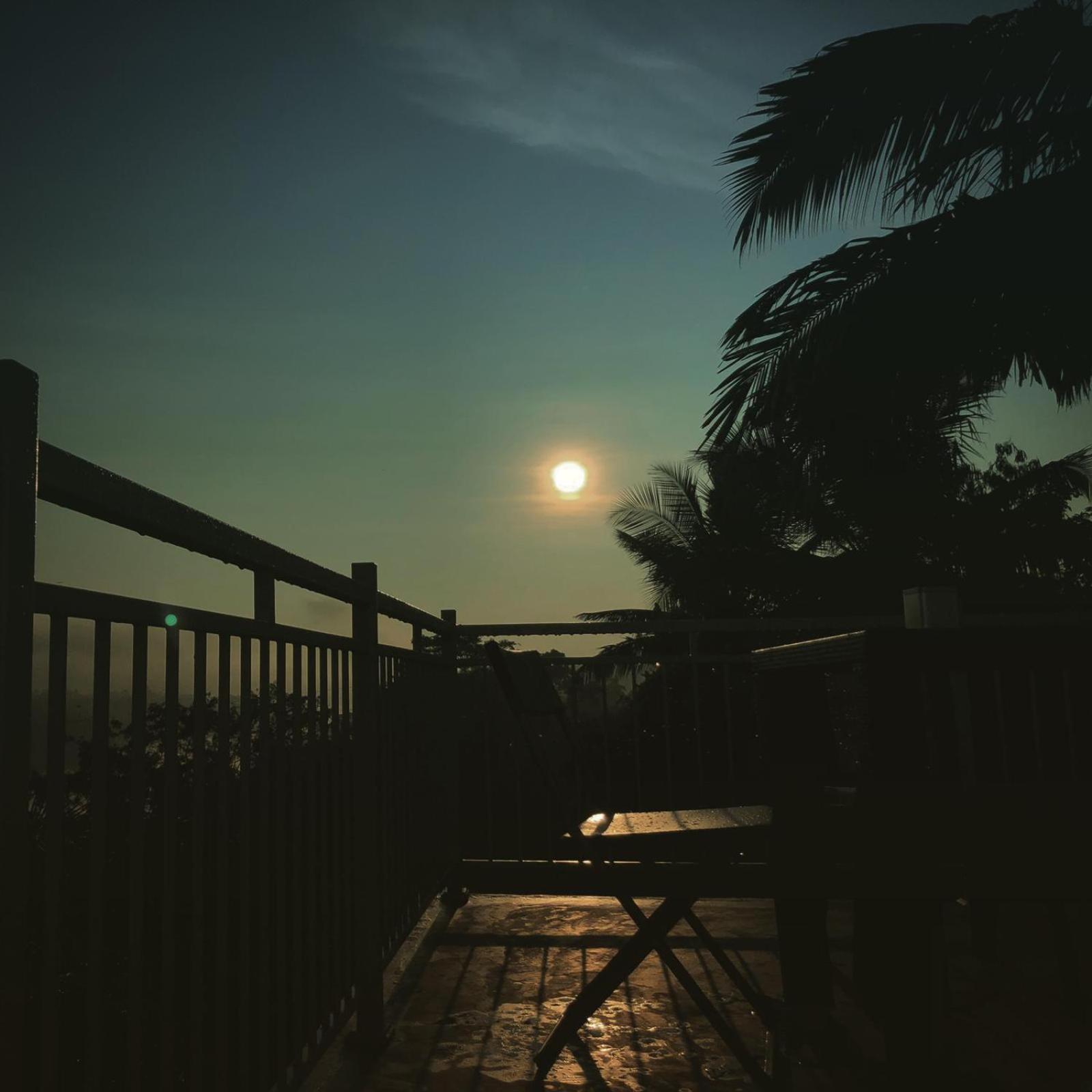 Photo 45