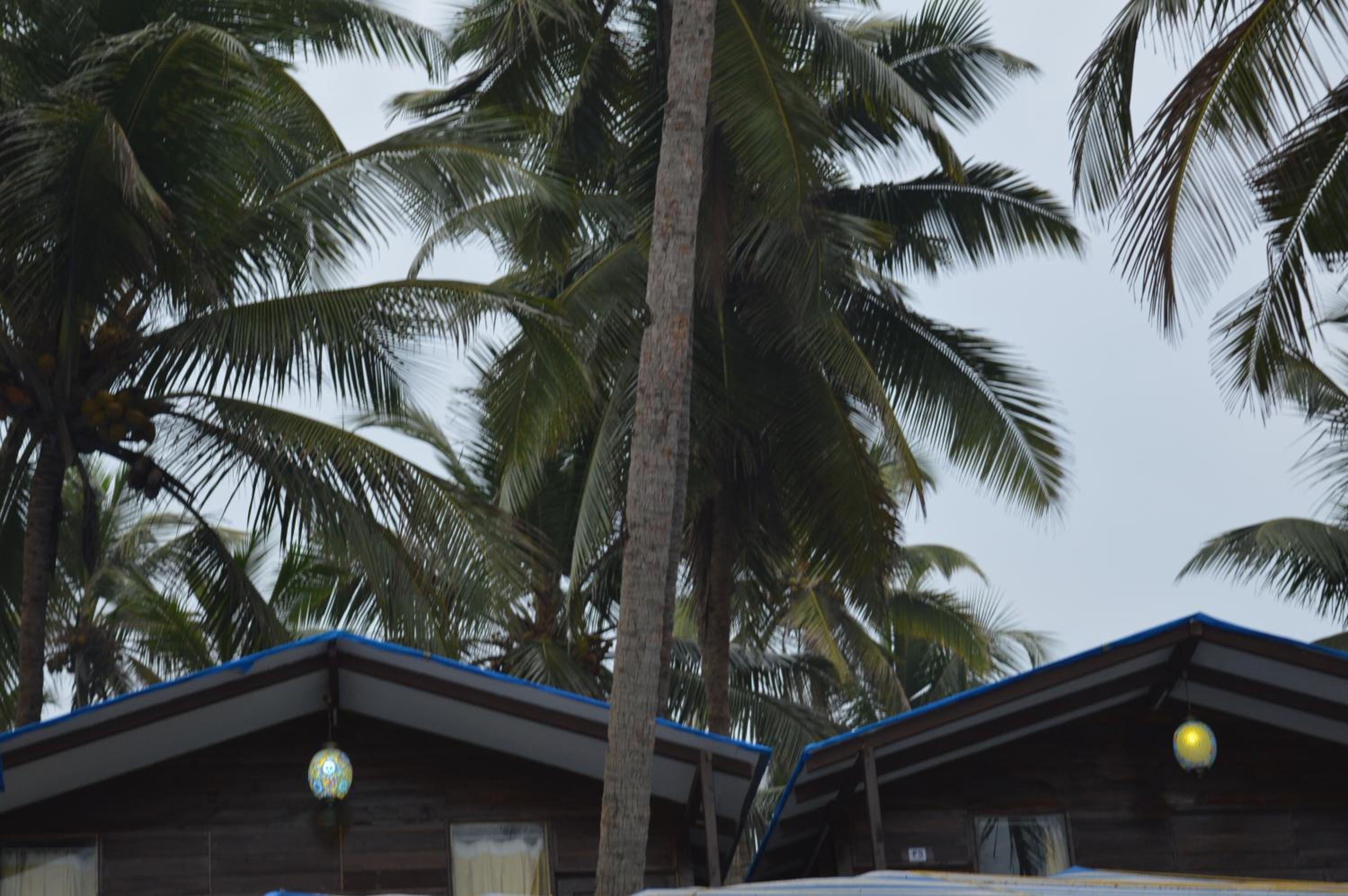 Royal Touch Beach Huts