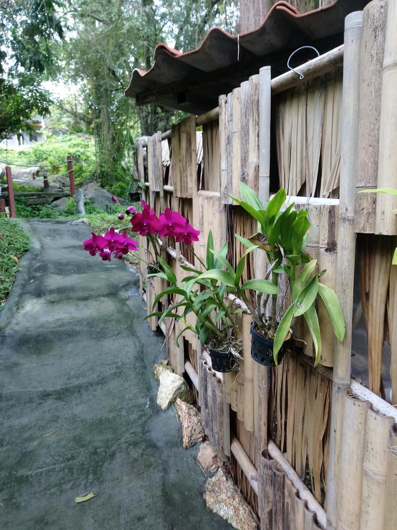 Koh Phangan Pavilions Serviced Apartments
