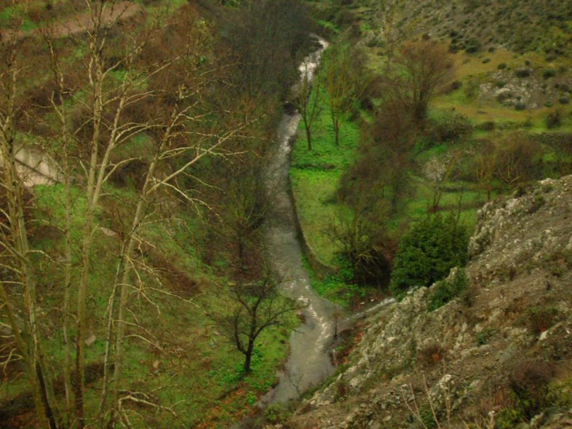 Photo 49