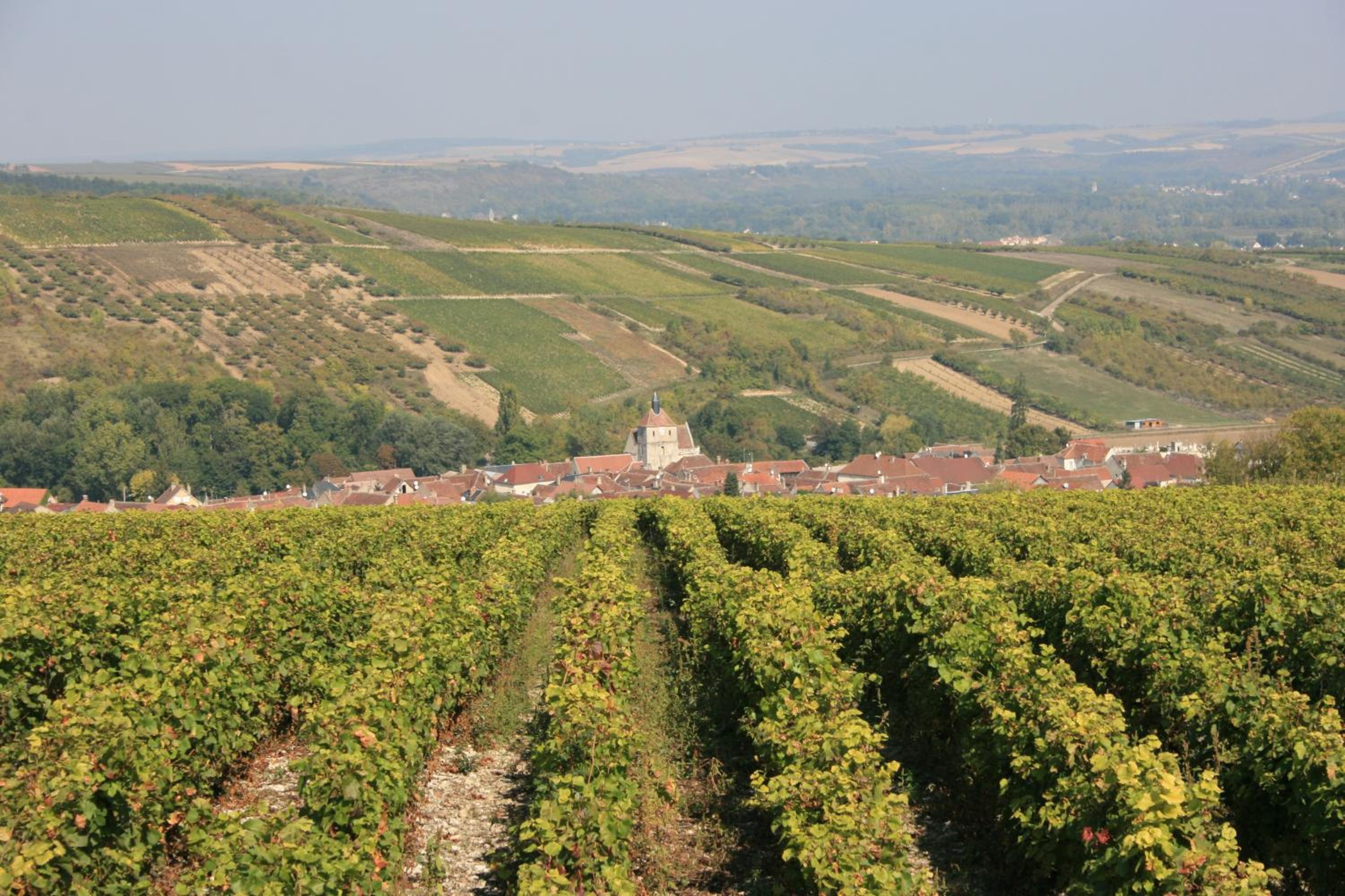 Villa Rose view 2