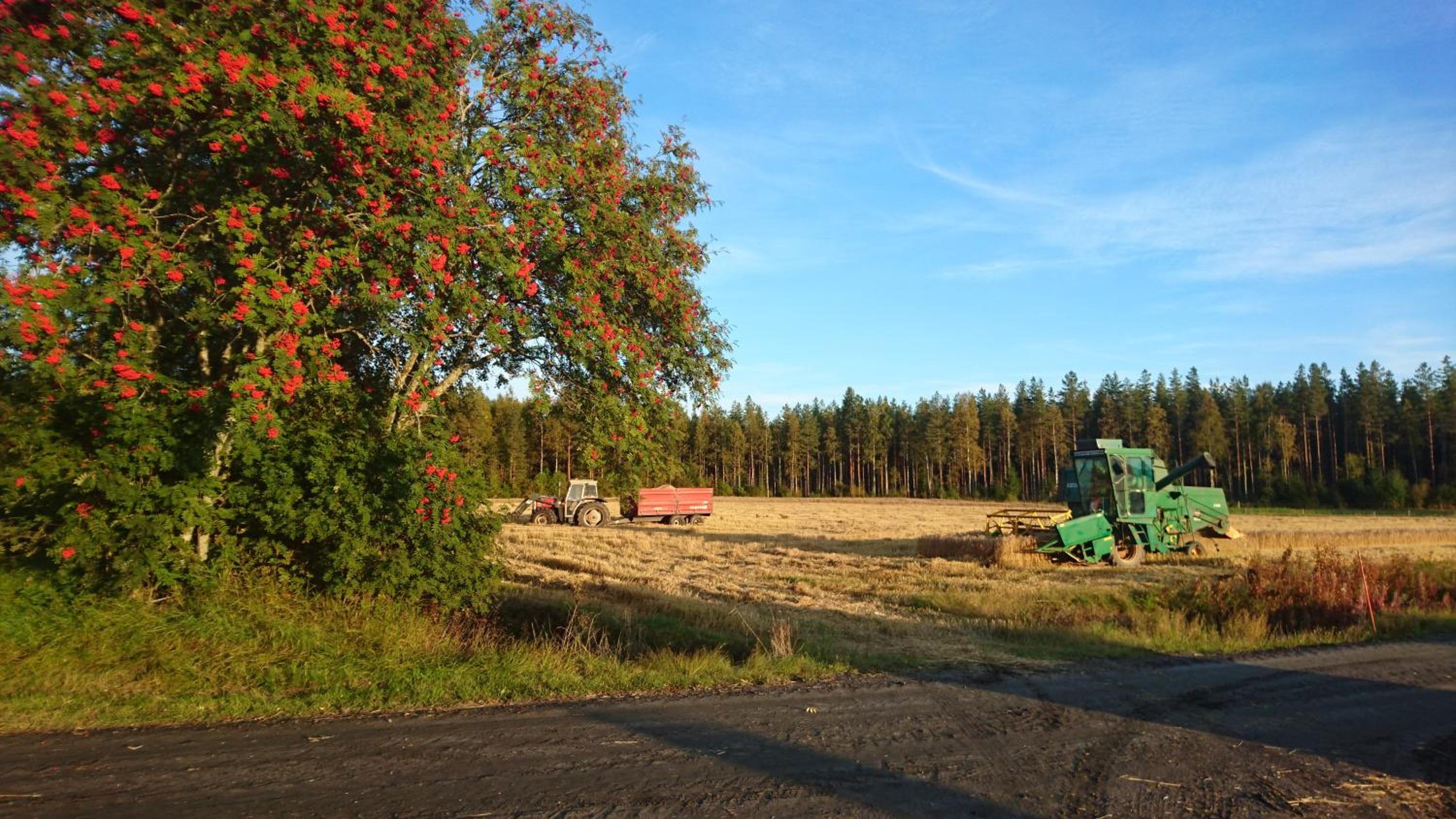 Photo 14