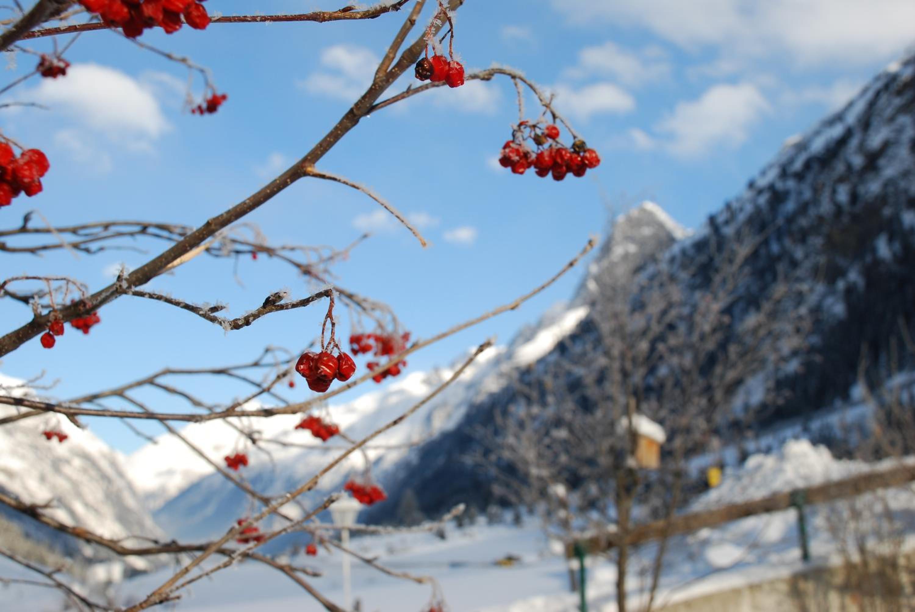 Pension Steinkogel