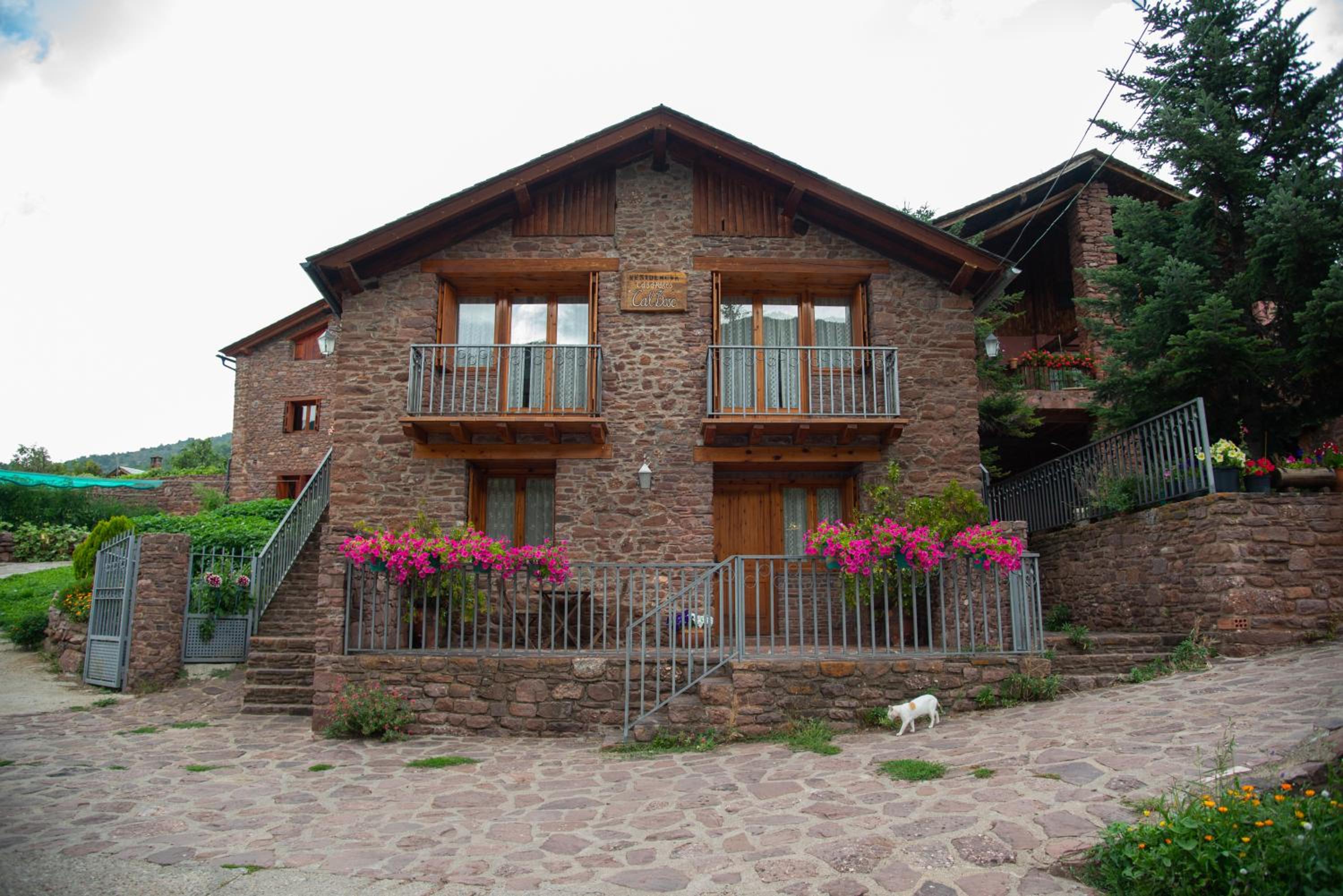 Casa Rural Cal Bosch view 2