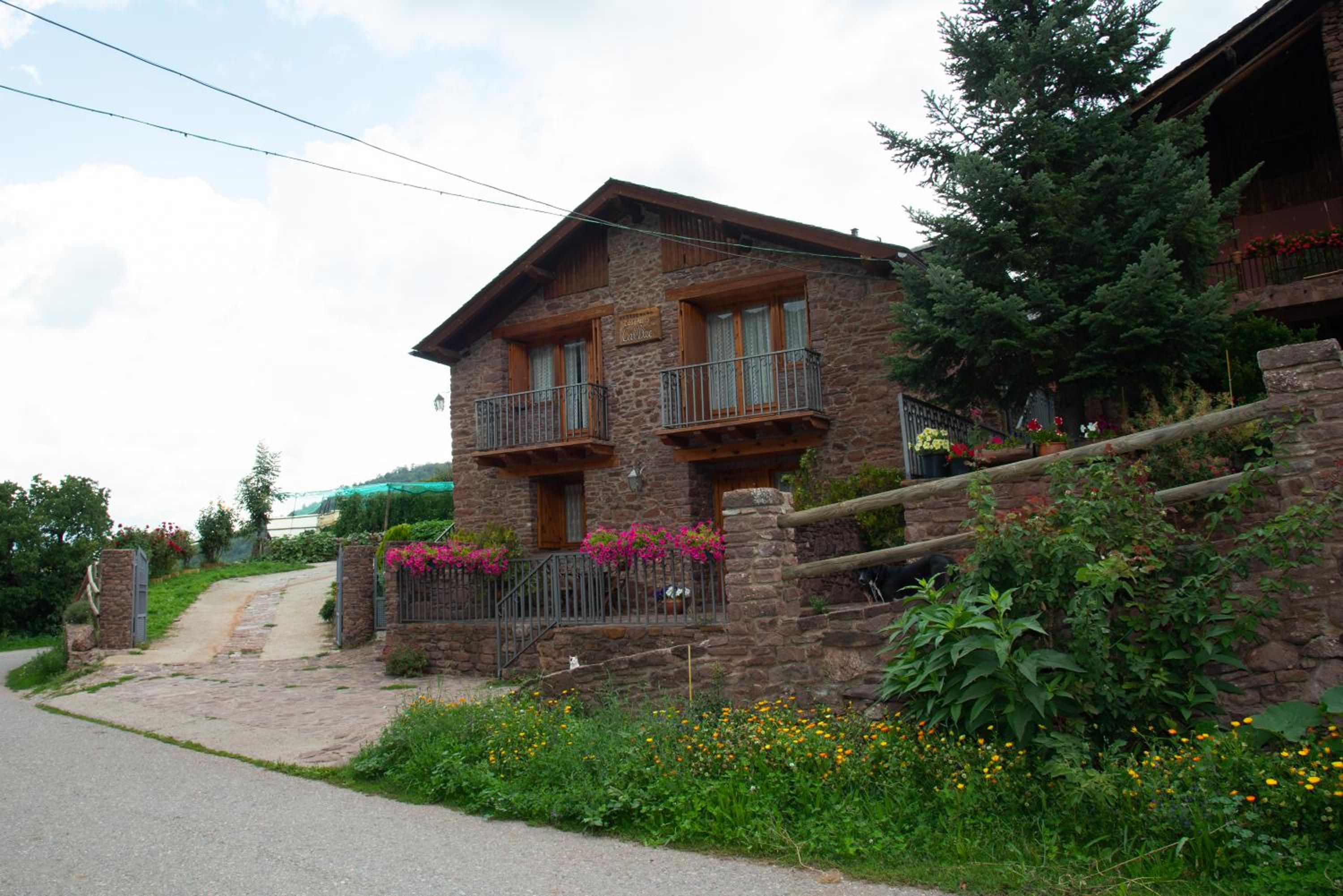 Casa Rural Cal Bosch view 4