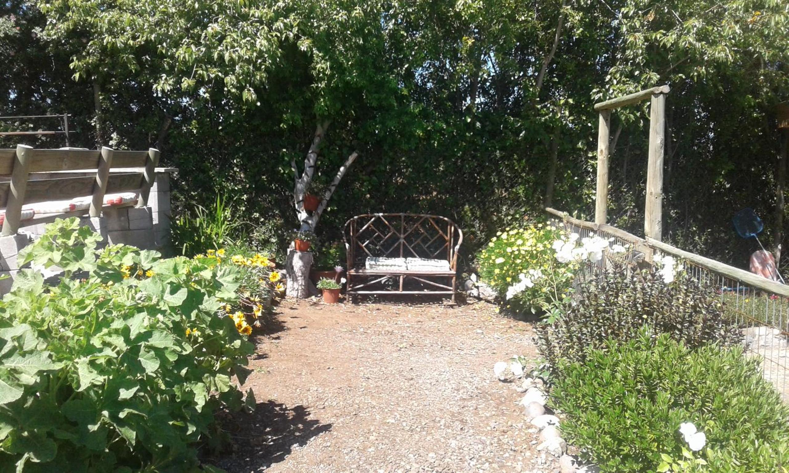 Photo 9