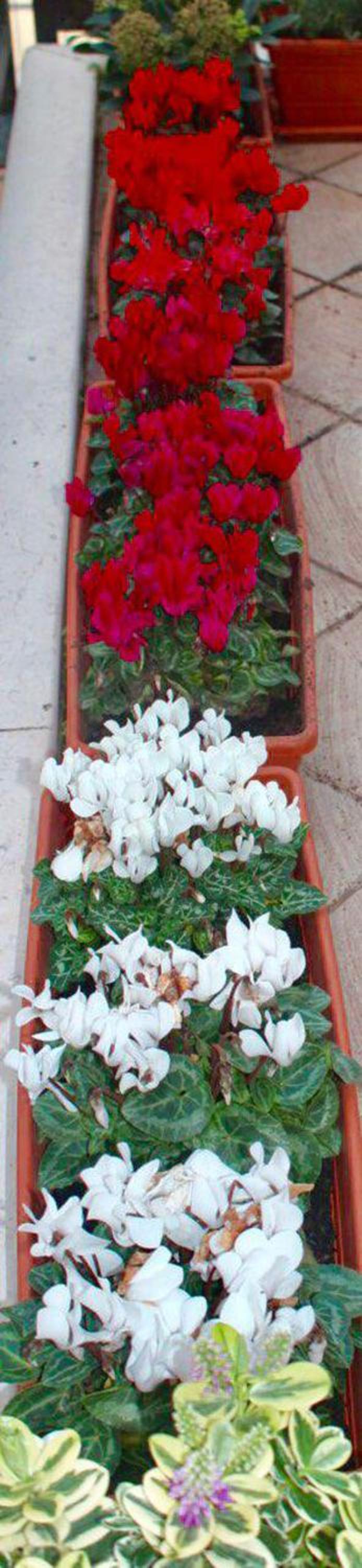 Photo 67