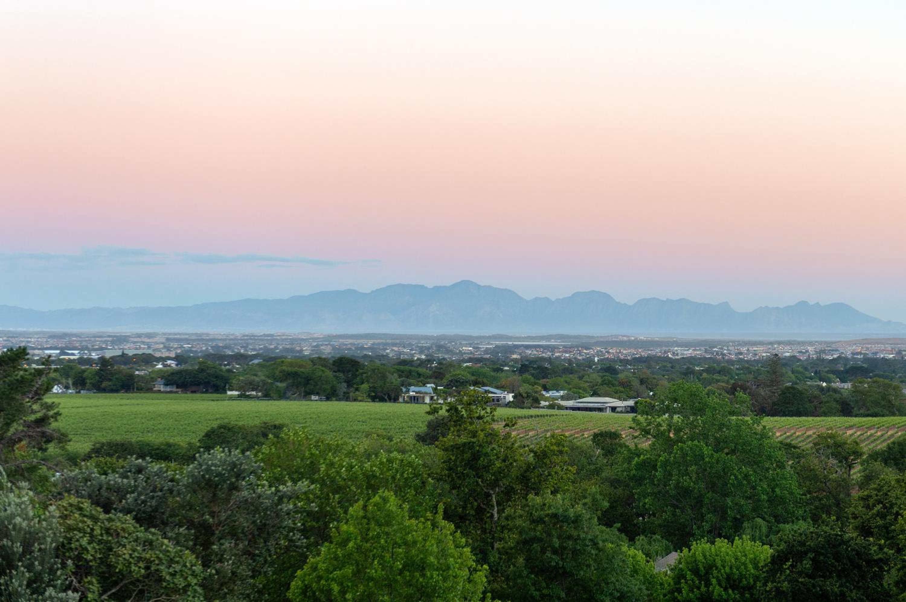 Le Vine Constantia view 5