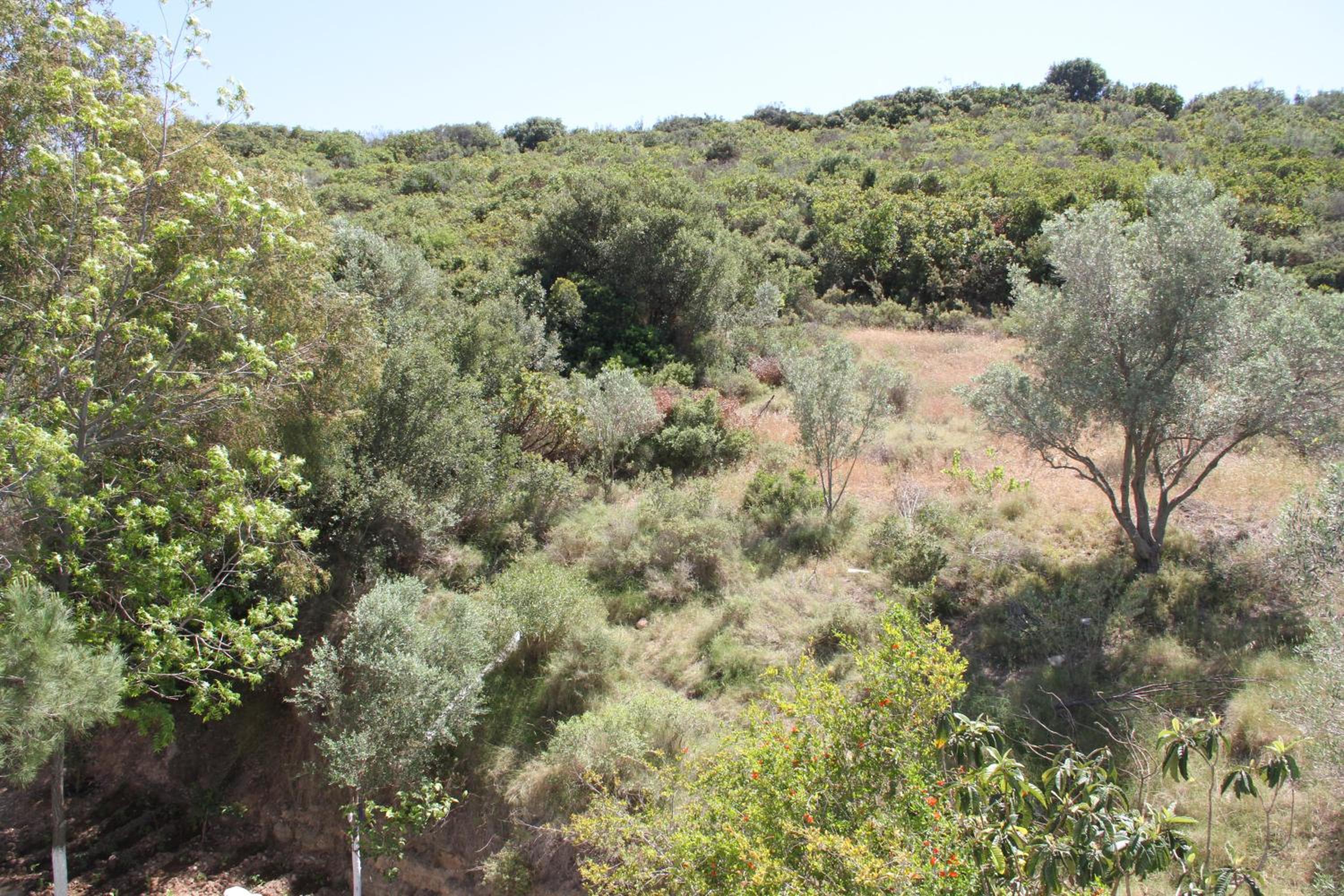 AELBİSTAN OTEL - Image 6