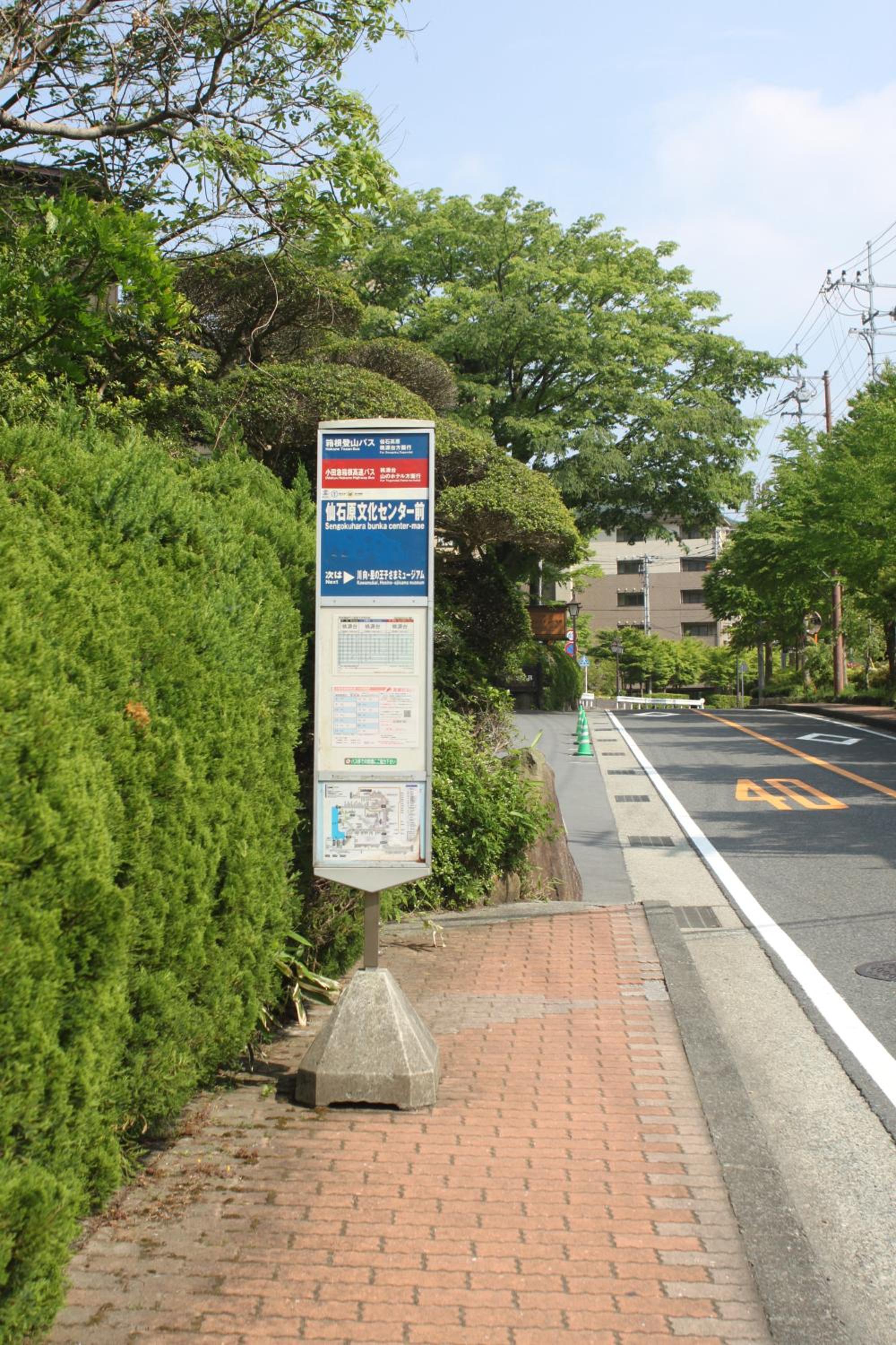 Mount View Hakone