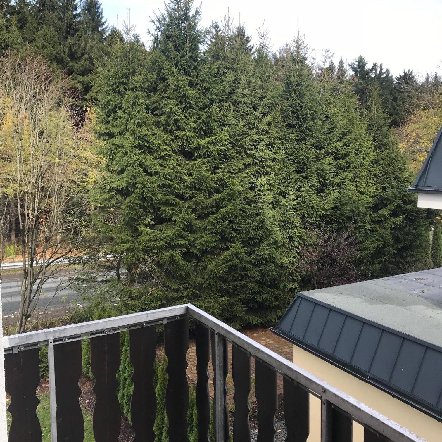 Winterberg Sport Apartment 8 - Property Image 16