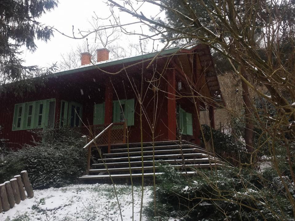 Photo 8