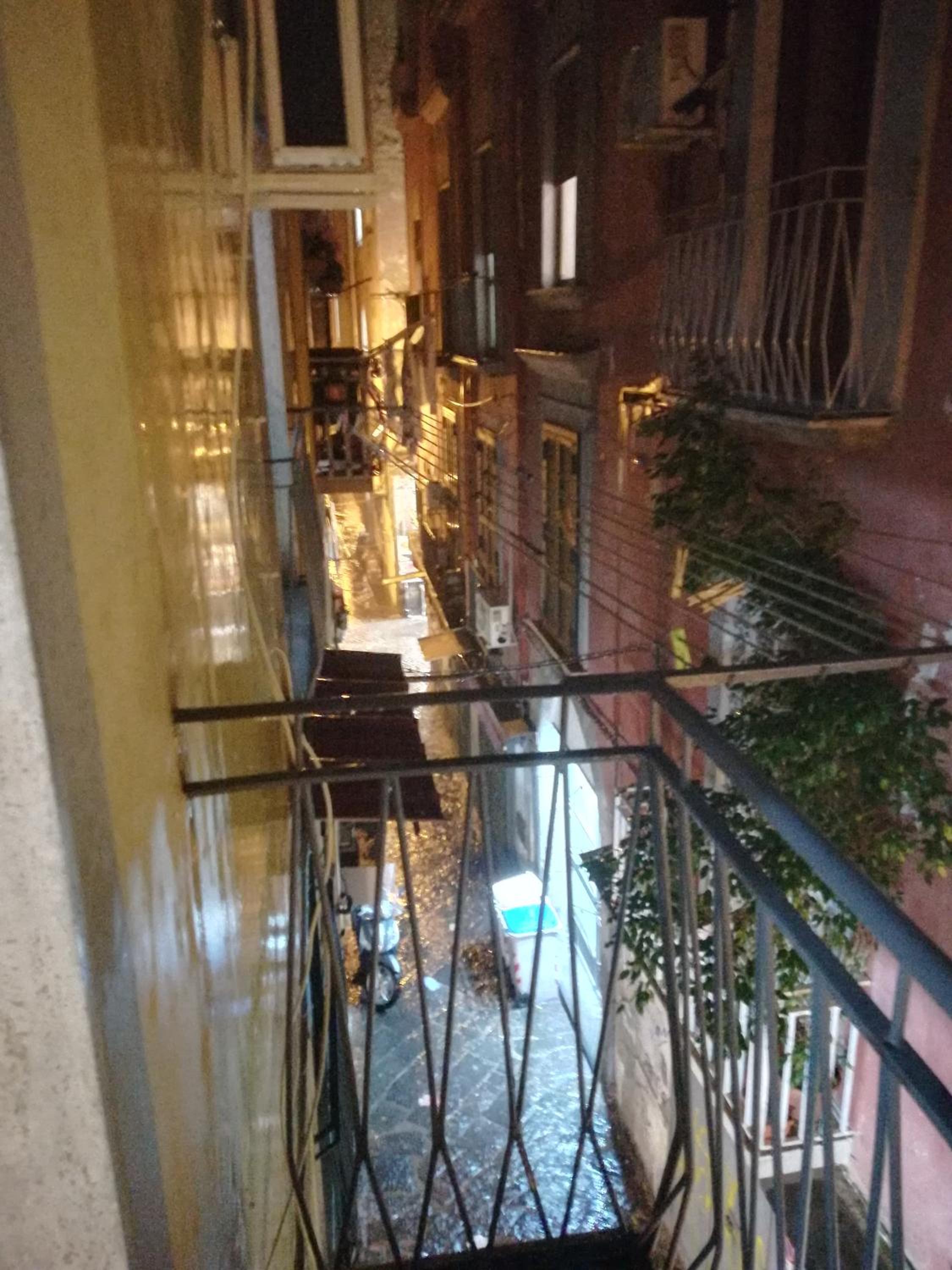 Stella Diana
