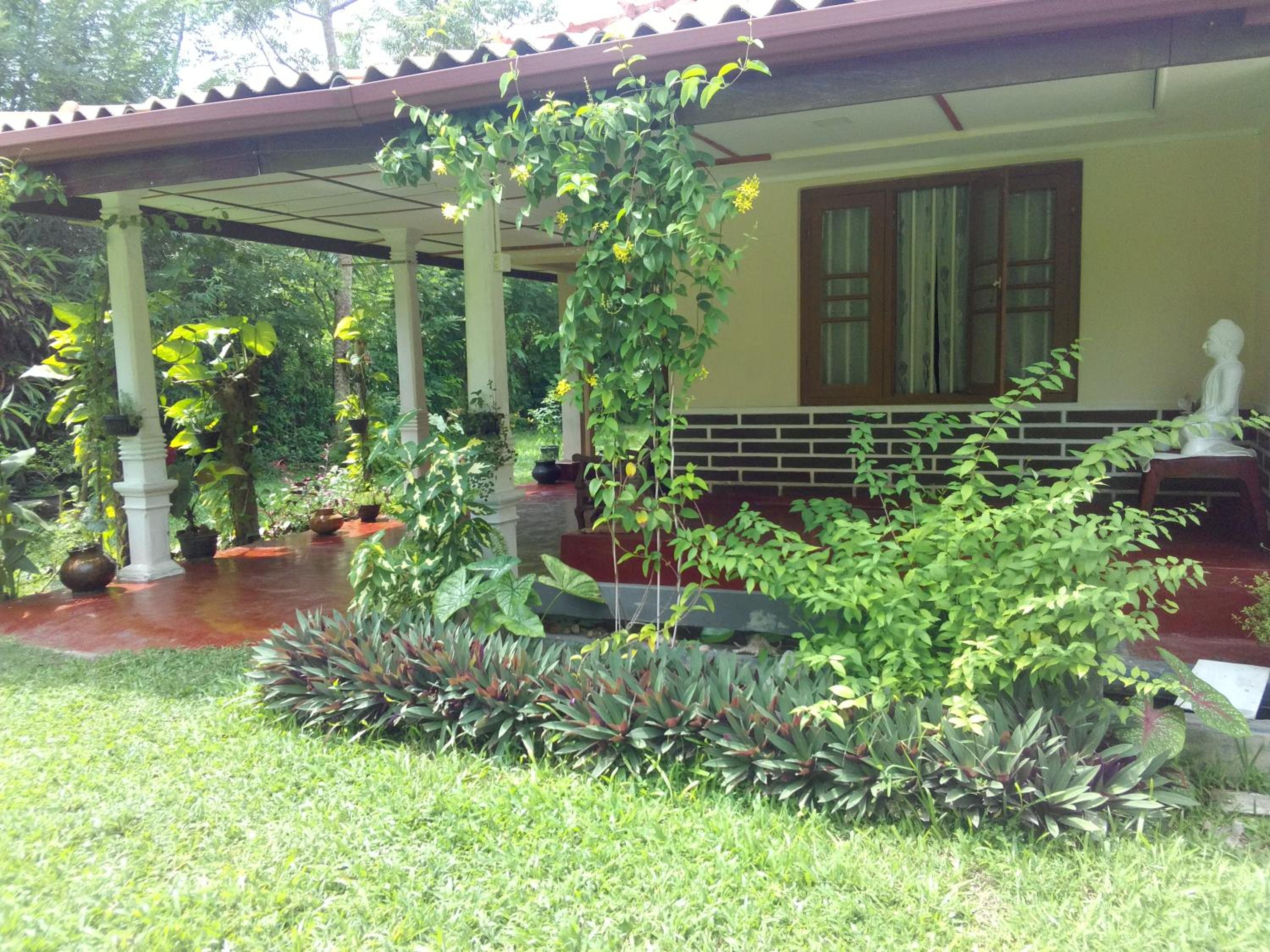 Dreams Garden Surf Lodge