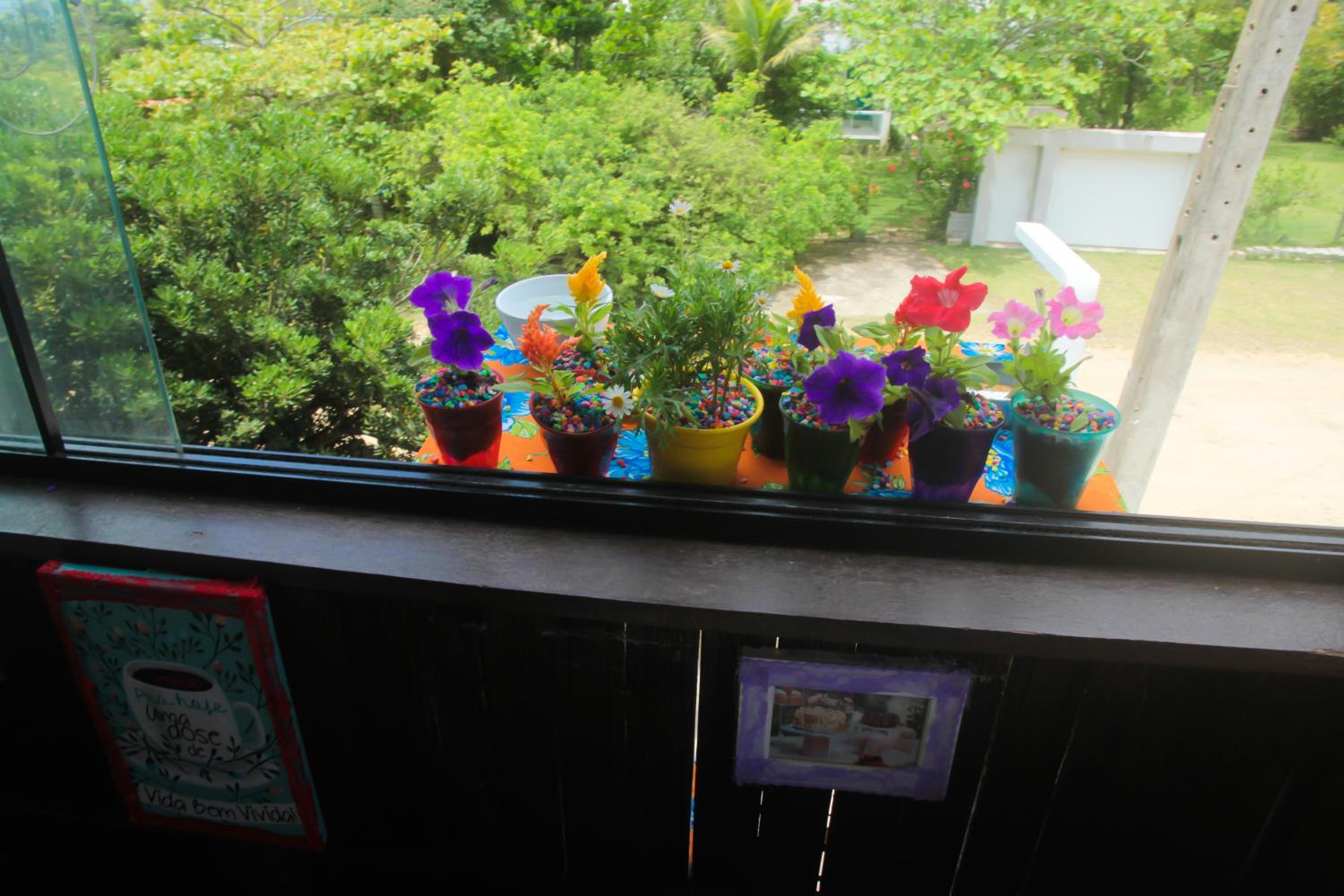 Photo 43