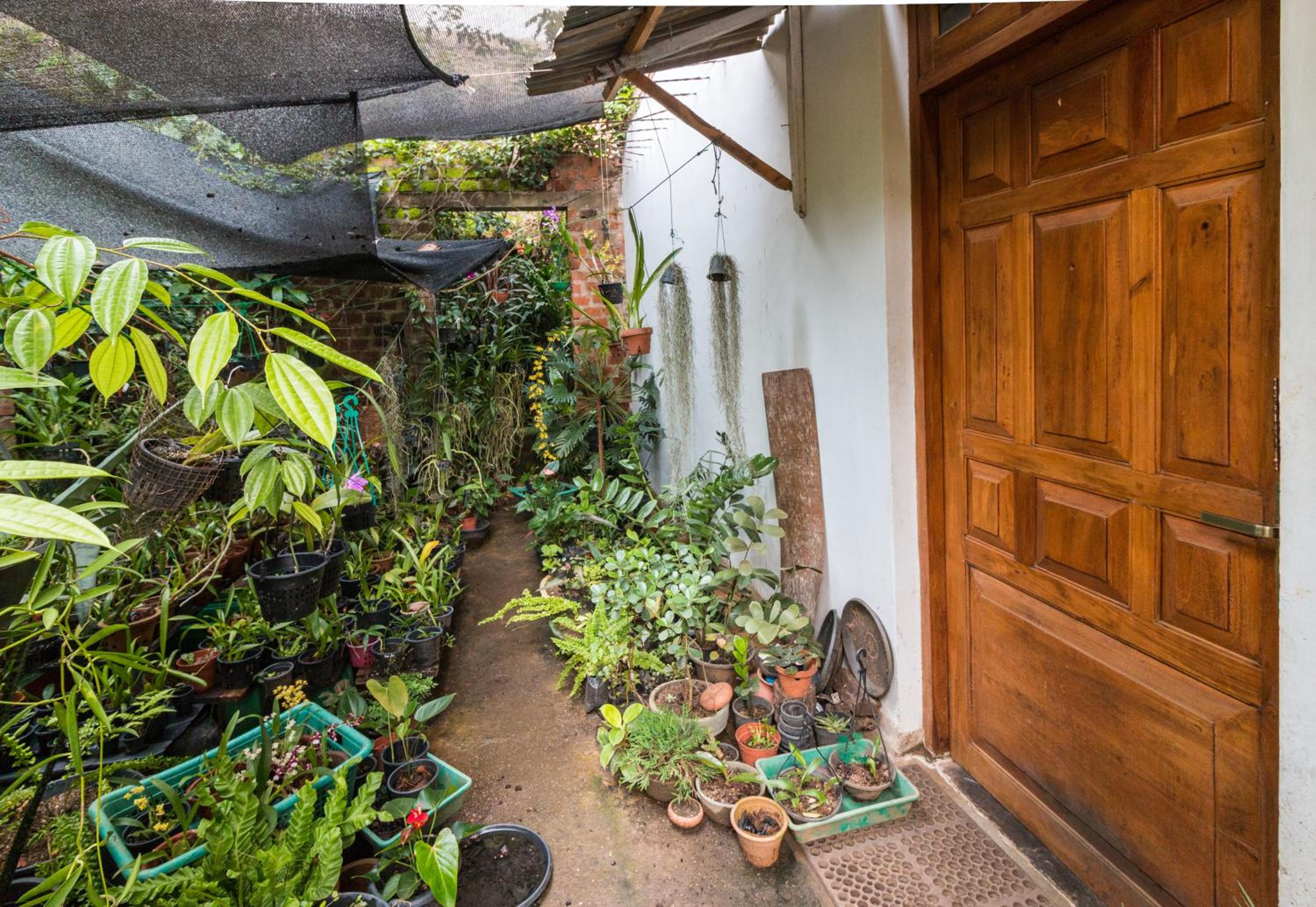 Amma's Homestay view 4