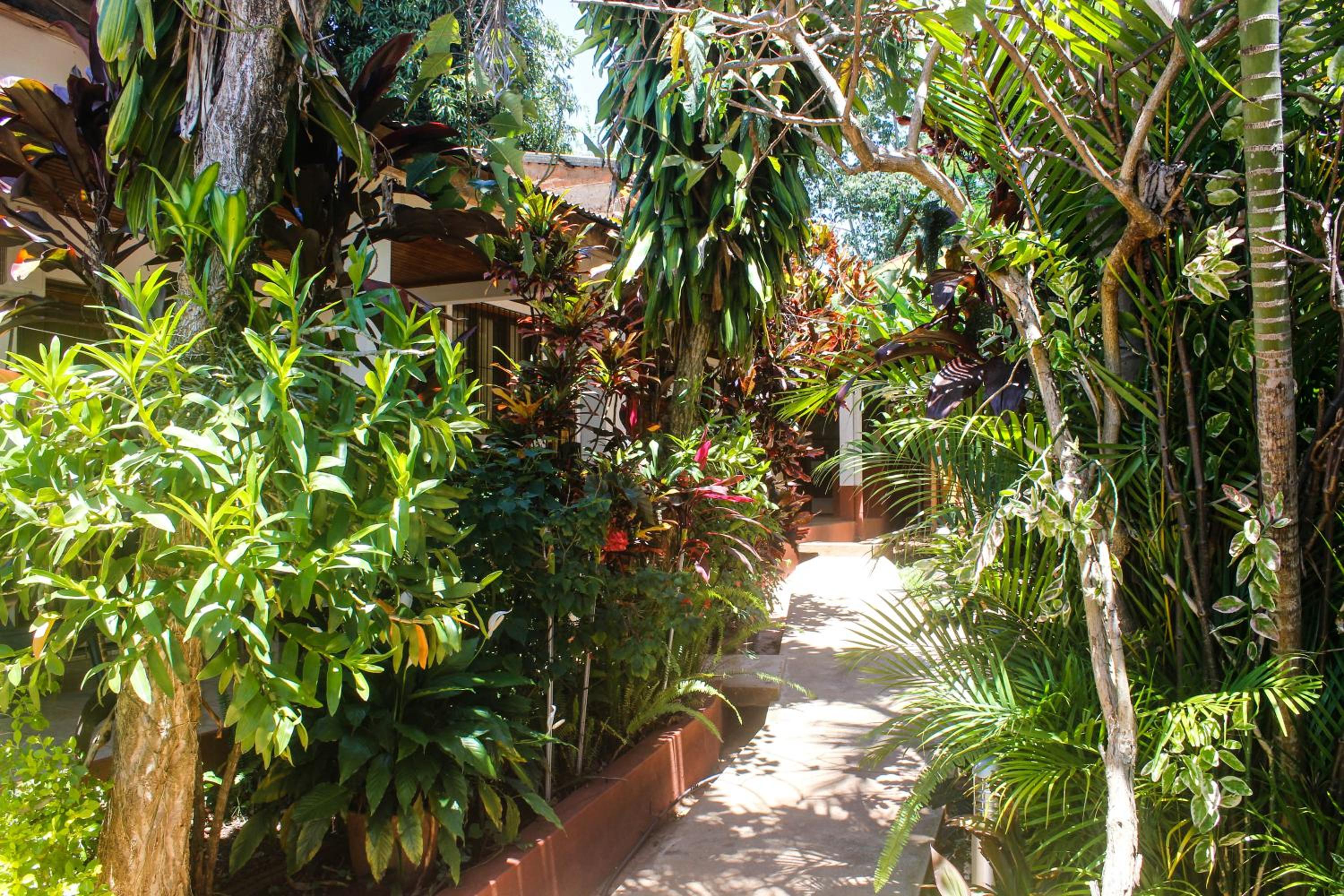 Hospedaje Jose Gorgues
