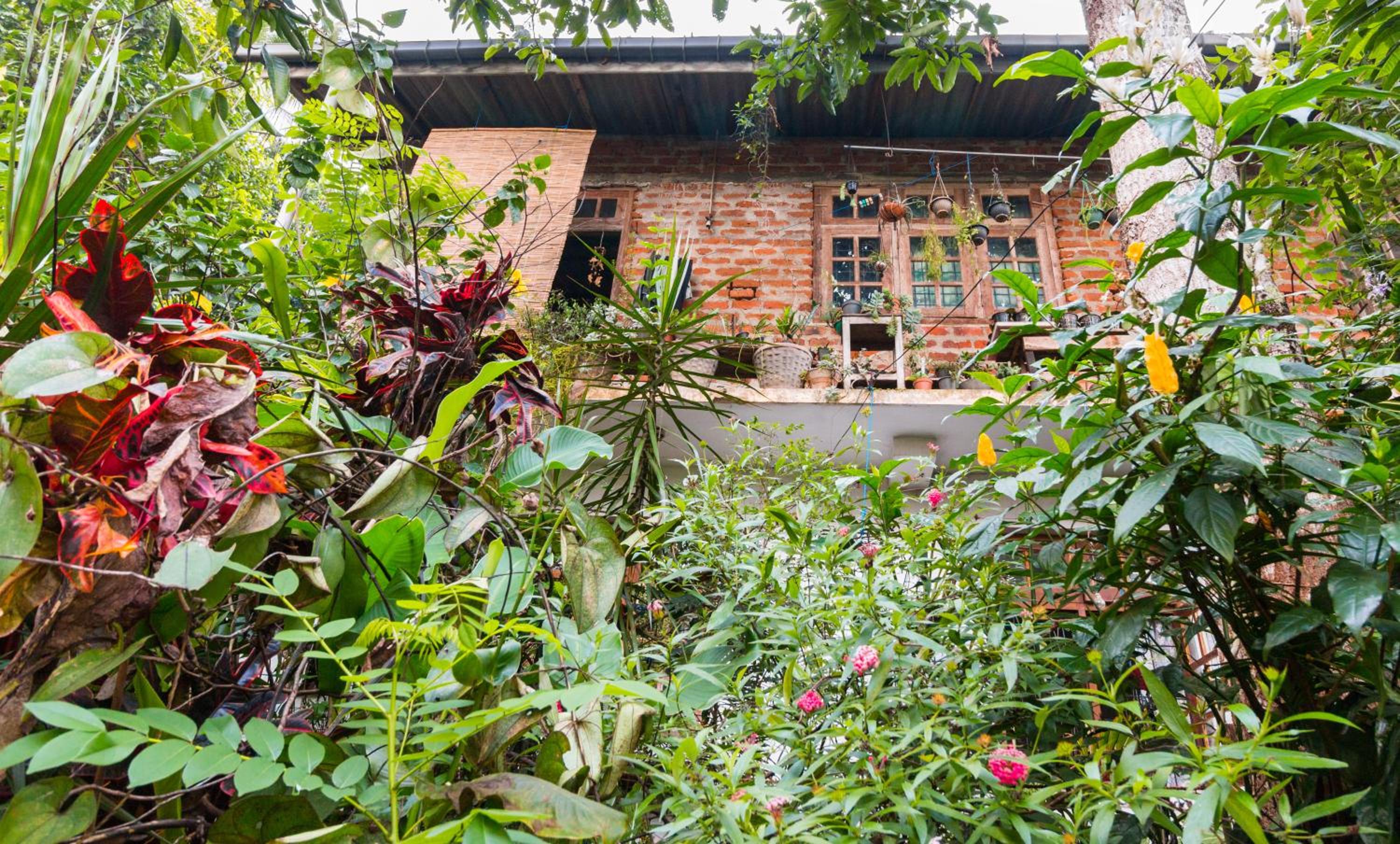Amma's Homestay view 2
