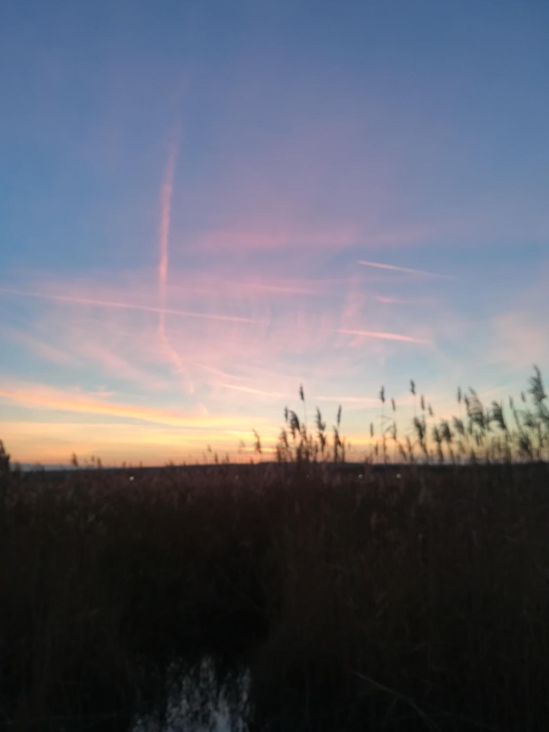 Pfahlbau Sunset I Toplage Elektroboot inklusive