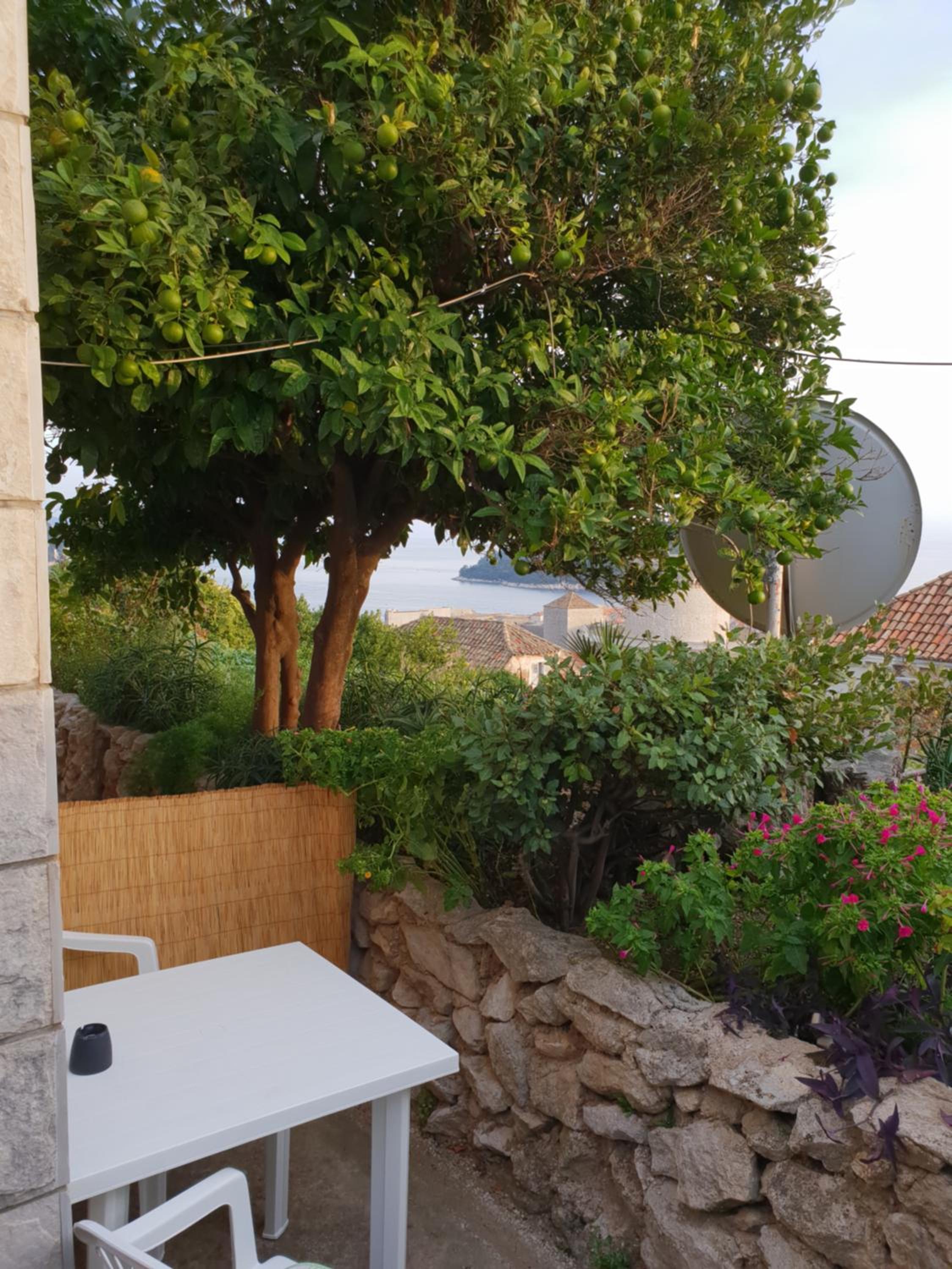 Apartment Bruana 5
